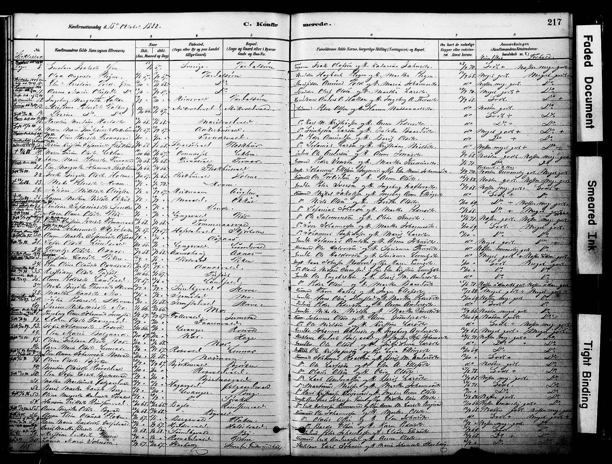 Ministerialprotokoller, klokkerbøker og fødselsregistre - Nord-Trøndelag, AV/SAT-A-1458/723/L0244: Ministerialbok nr. 723A13, 1881-1899, s. 217
