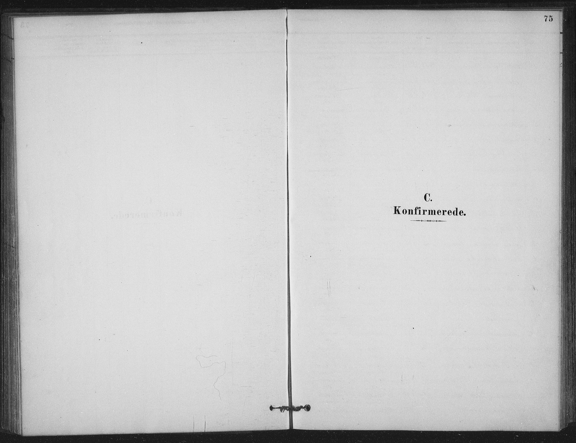 Ministerialprotokoller, klokkerbøker og fødselsregistre - Nordland, AV/SAT-A-1459/825/L0361: Ministerialbok nr. 825A15, 1878-1893, s. 75