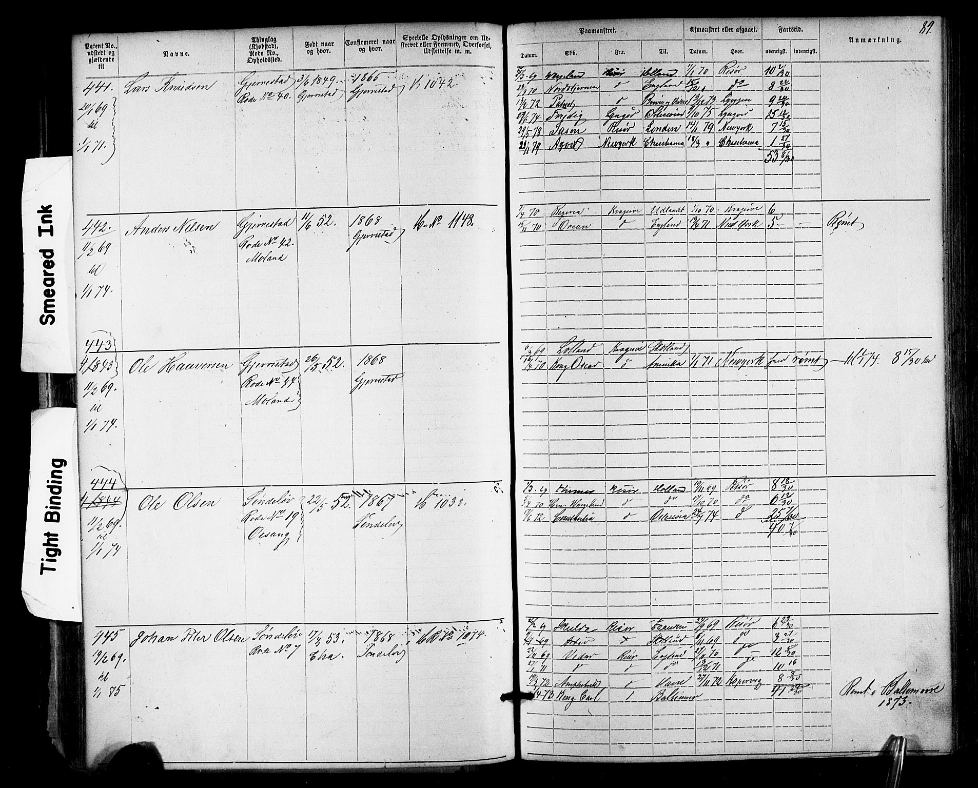 Risør mønstringskrets, SAK/2031-0010/F/Fa/L0003: Annotasjonsrulle nr 1-1913 med register, T-7, 1863-1899, s. 25