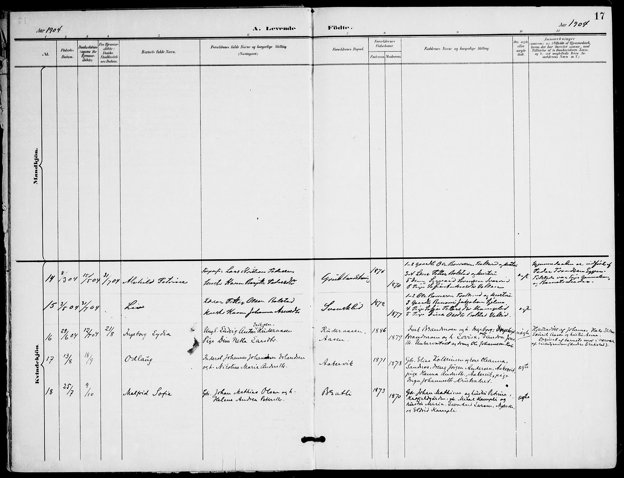 Ministerialprotokoller, klokkerbøker og fødselsregistre - Nordland, AV/SAT-A-1459/823/L0326: Ministerialbok nr. 823A03, 1899-1919, s. 17