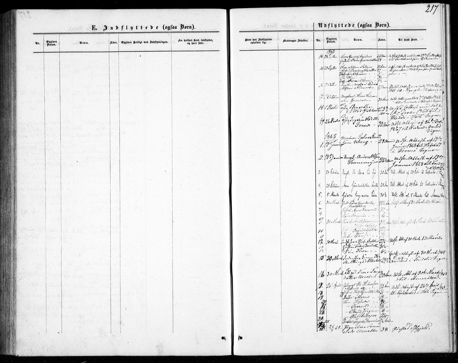 Gjerstad sokneprestkontor, SAK/1111-0014/F/Fb/Fbb/L0003: Klokkerbok nr. B 3, 1862-1889, s. 217