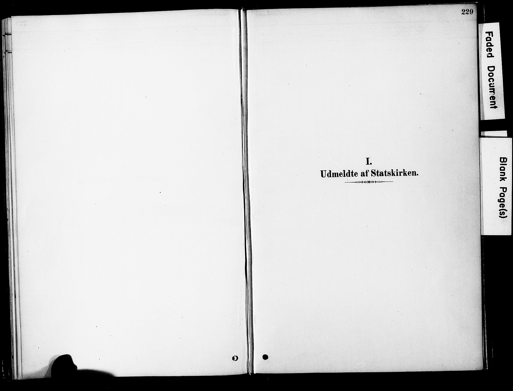 Ministerialprotokoller, klokkerbøker og fødselsregistre - Møre og Romsdal, AV/SAT-A-1454/563/L0736: Ministerialbok nr. 563A01, 1878-1903, s. 229