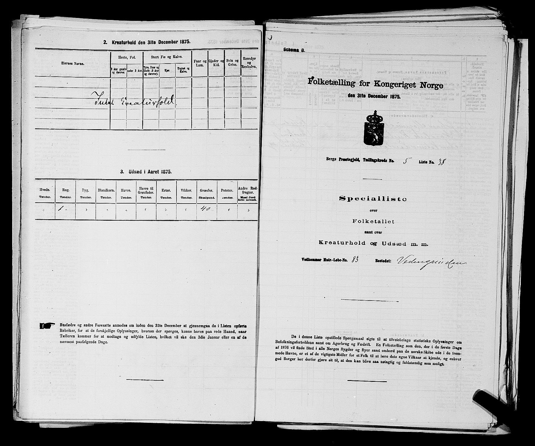 RA, Folketelling 1875 for 0116P Berg prestegjeld, 1875, s. 719