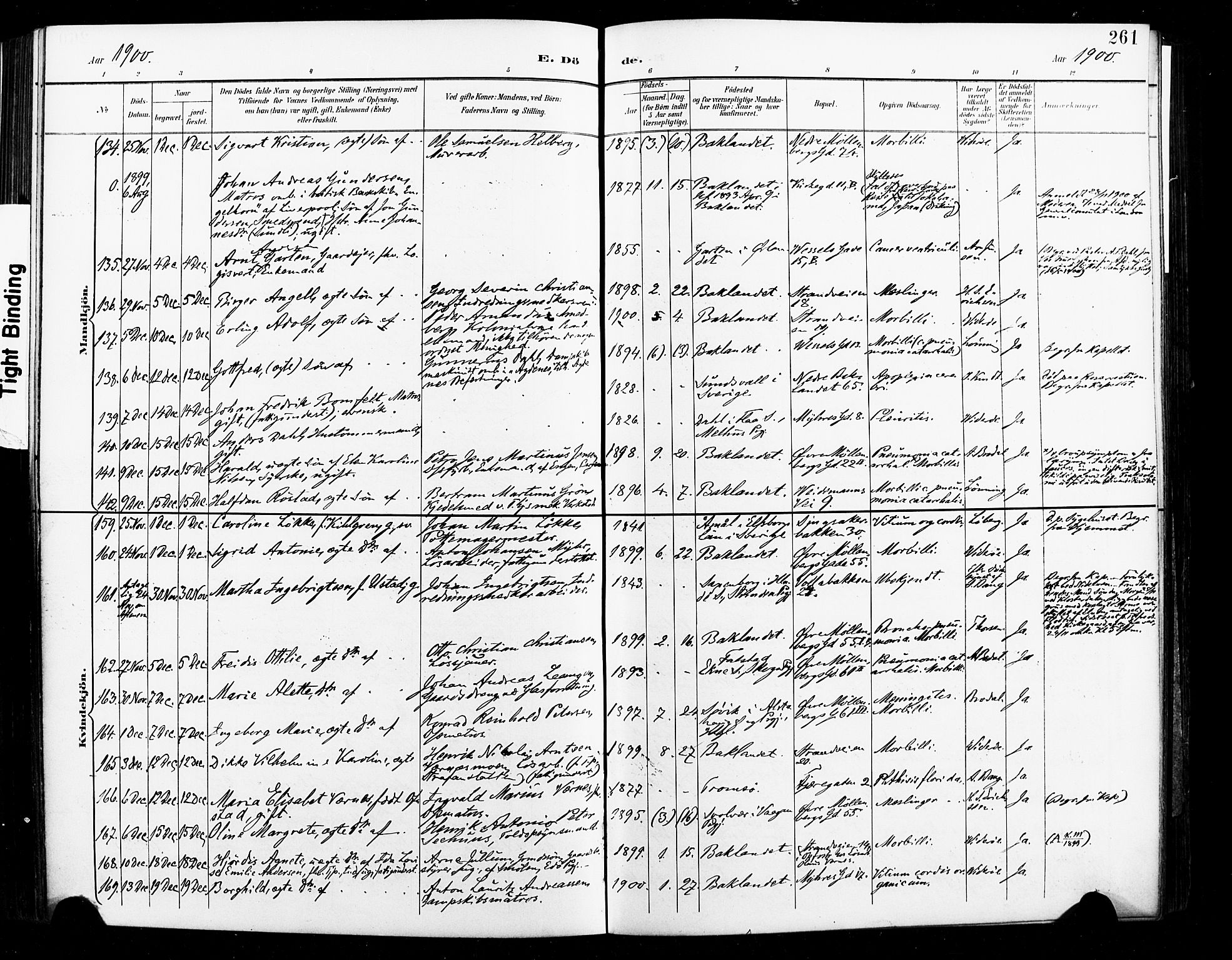 Ministerialprotokoller, klokkerbøker og fødselsregistre - Sør-Trøndelag, SAT/A-1456/604/L0198: Ministerialbok nr. 604A19, 1893-1900, s. 261