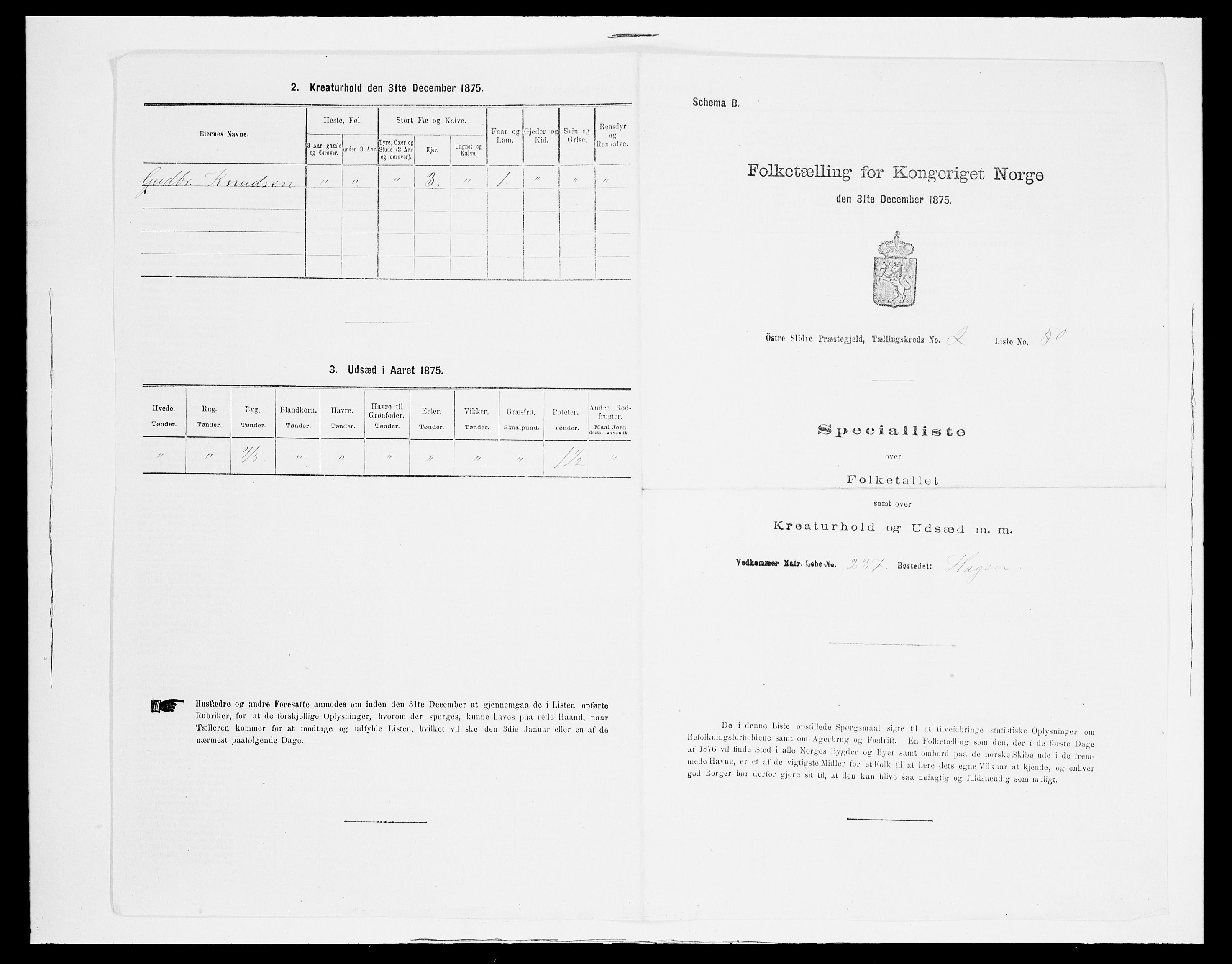 SAH, Folketelling 1875 for 0544P Øystre Slidre prestegjeld, 1875, s. 273