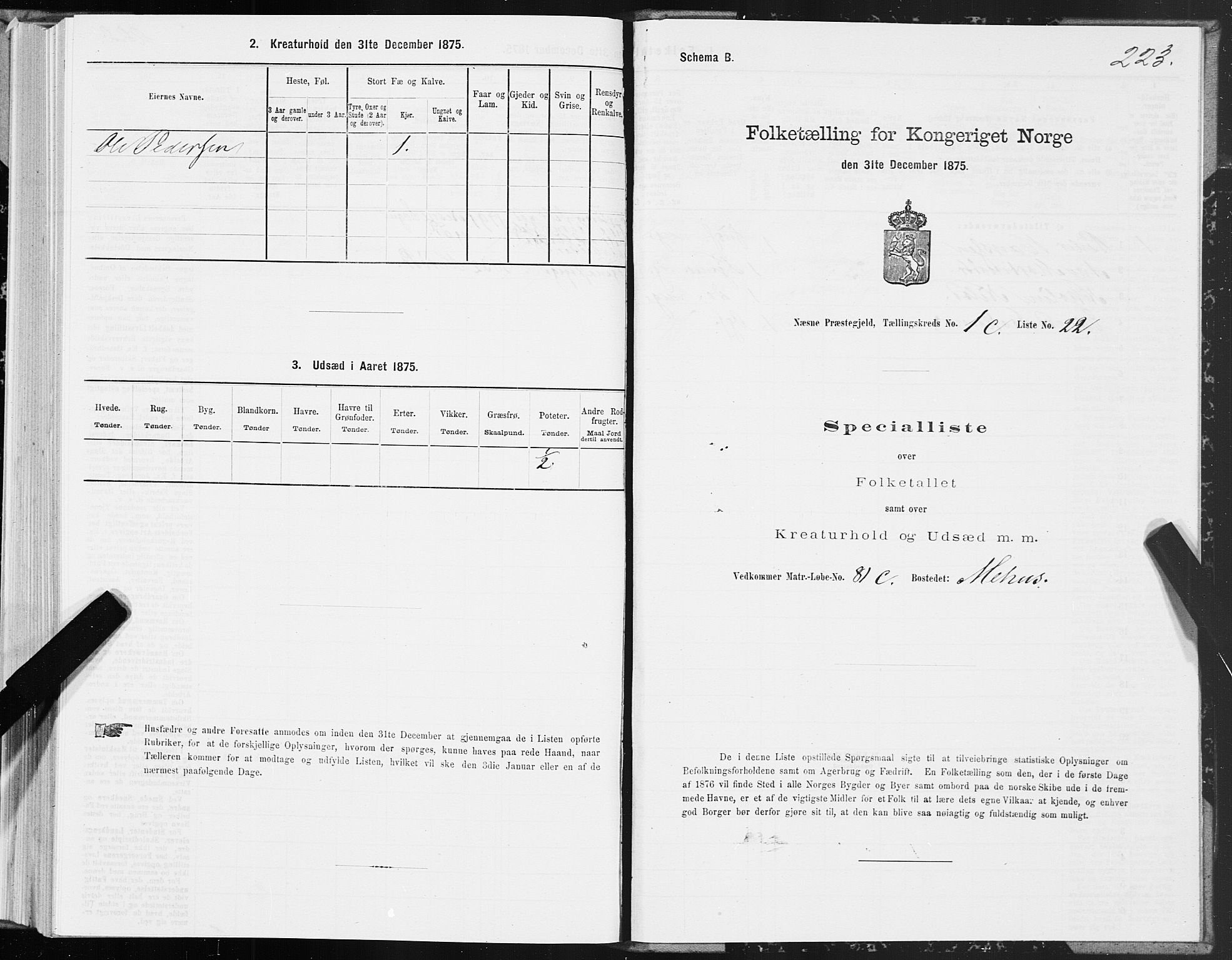 SAT, Folketelling 1875 for 1828P Nesna prestegjeld, 1875, s. 1223