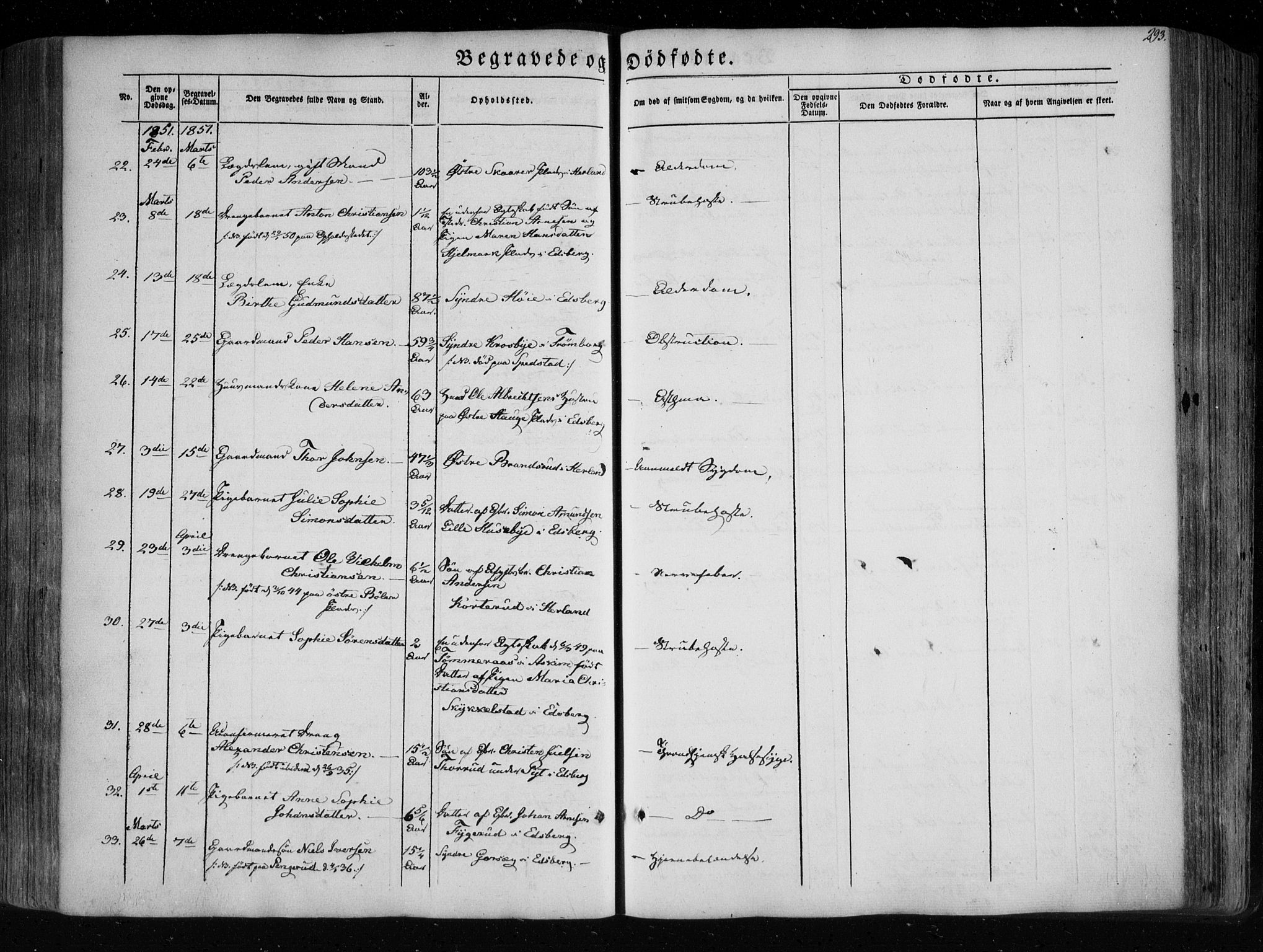 Eidsberg prestekontor Kirkebøker, AV/SAO-A-10905/F/Fa/L0009: Ministerialbok nr. I 9, 1849-1856, s. 293