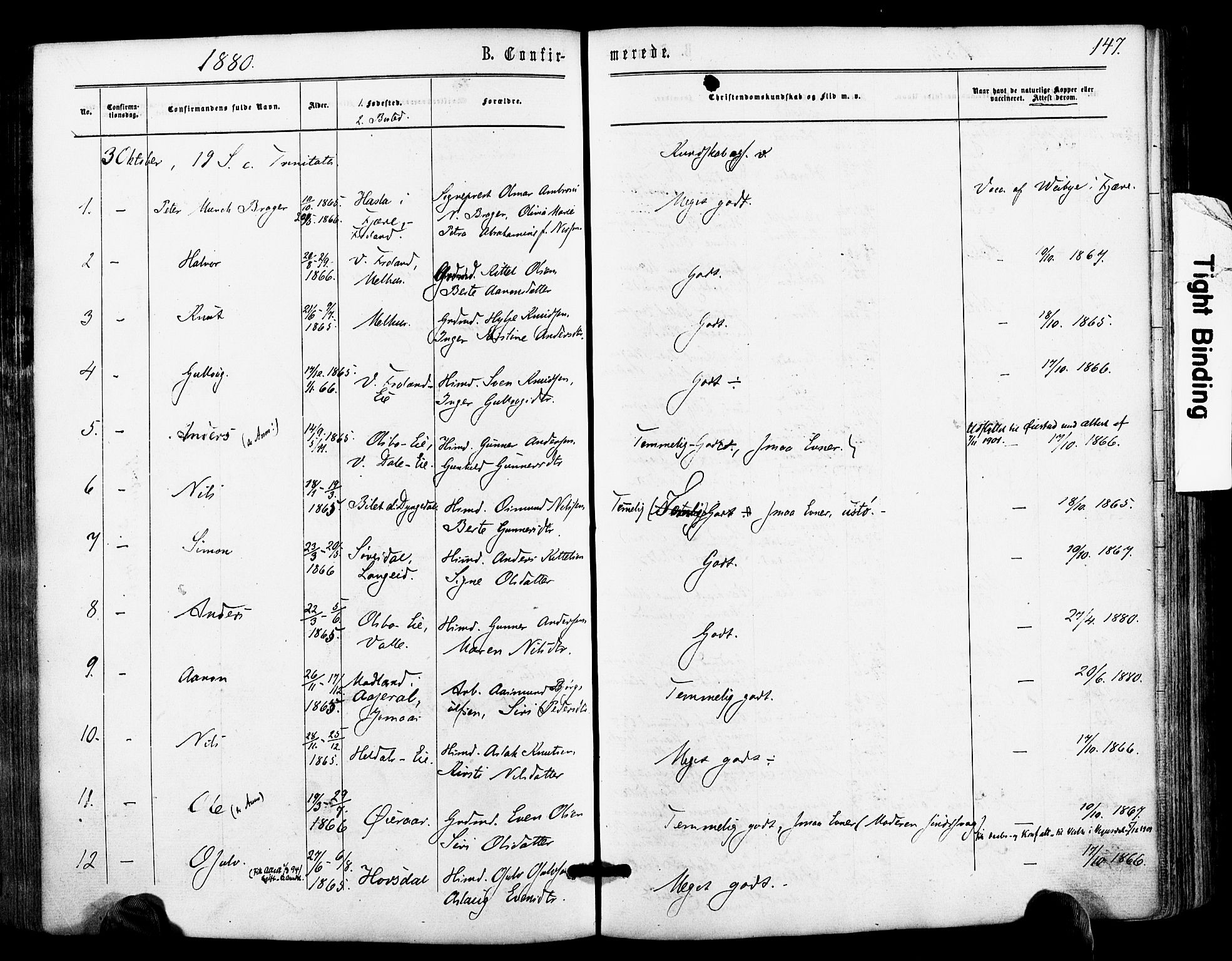 Froland sokneprestkontor, AV/SAK-1111-0013/F/Fa/L0003: Ministerialbok nr. A 3, 1864-1881, s. 147