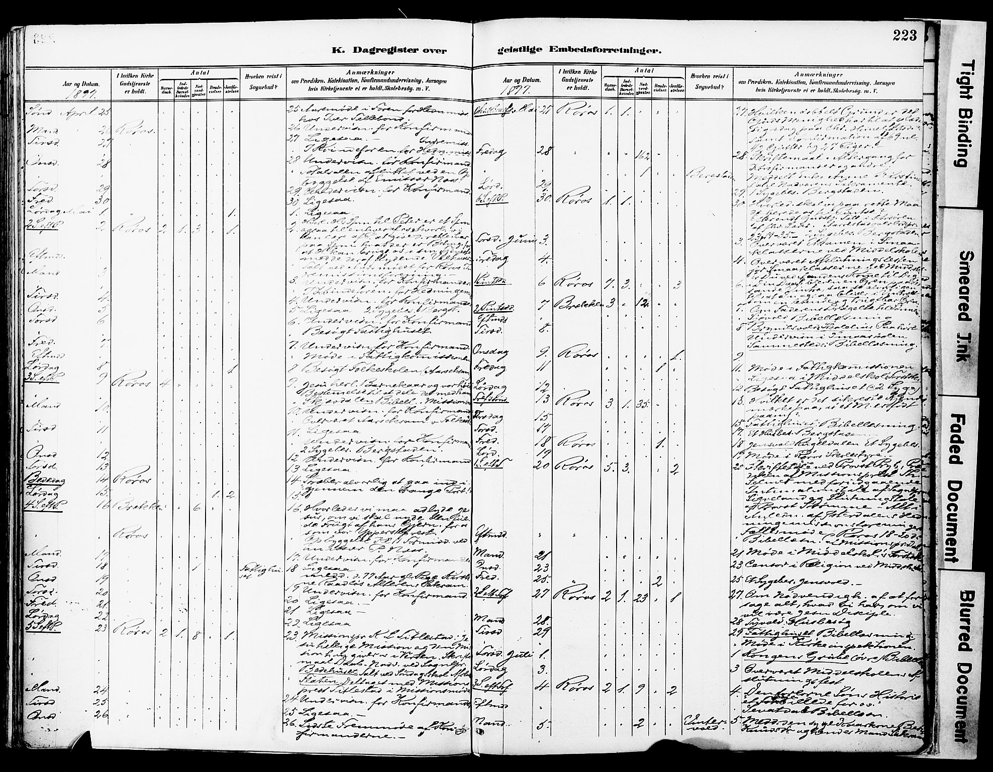 Ministerialprotokoller, klokkerbøker og fødselsregistre - Sør-Trøndelag, AV/SAT-A-1456/681/L0935: Ministerialbok nr. 681A13, 1890-1898, s. 223