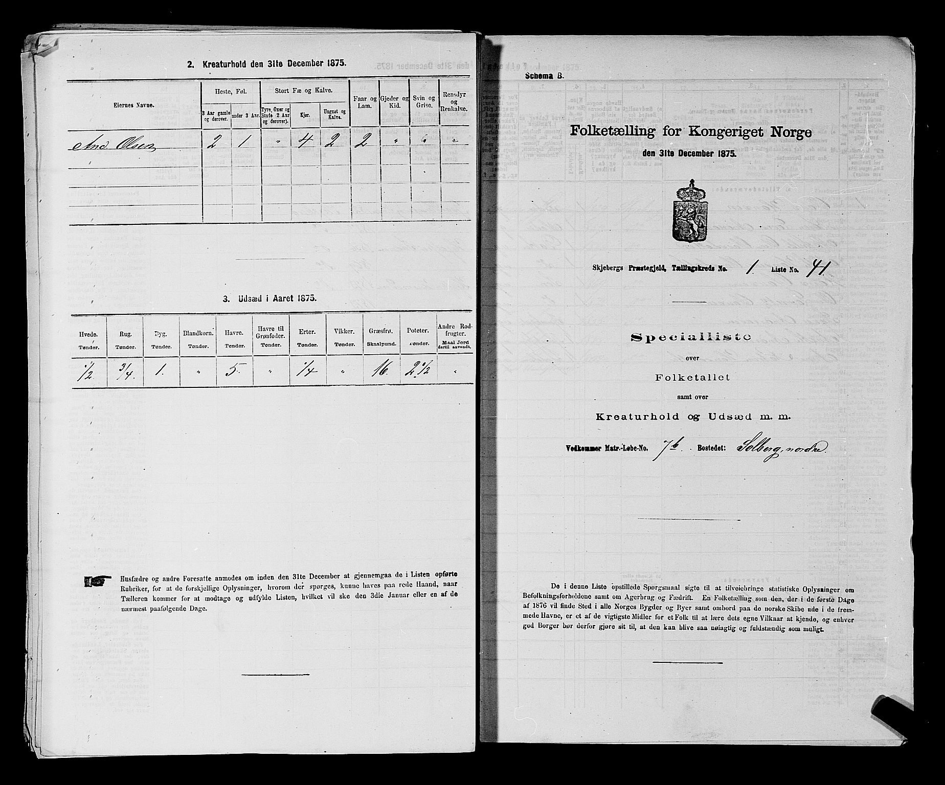 RA, Folketelling 1875 for 0115P Skjeberg prestegjeld, 1875, s. 223