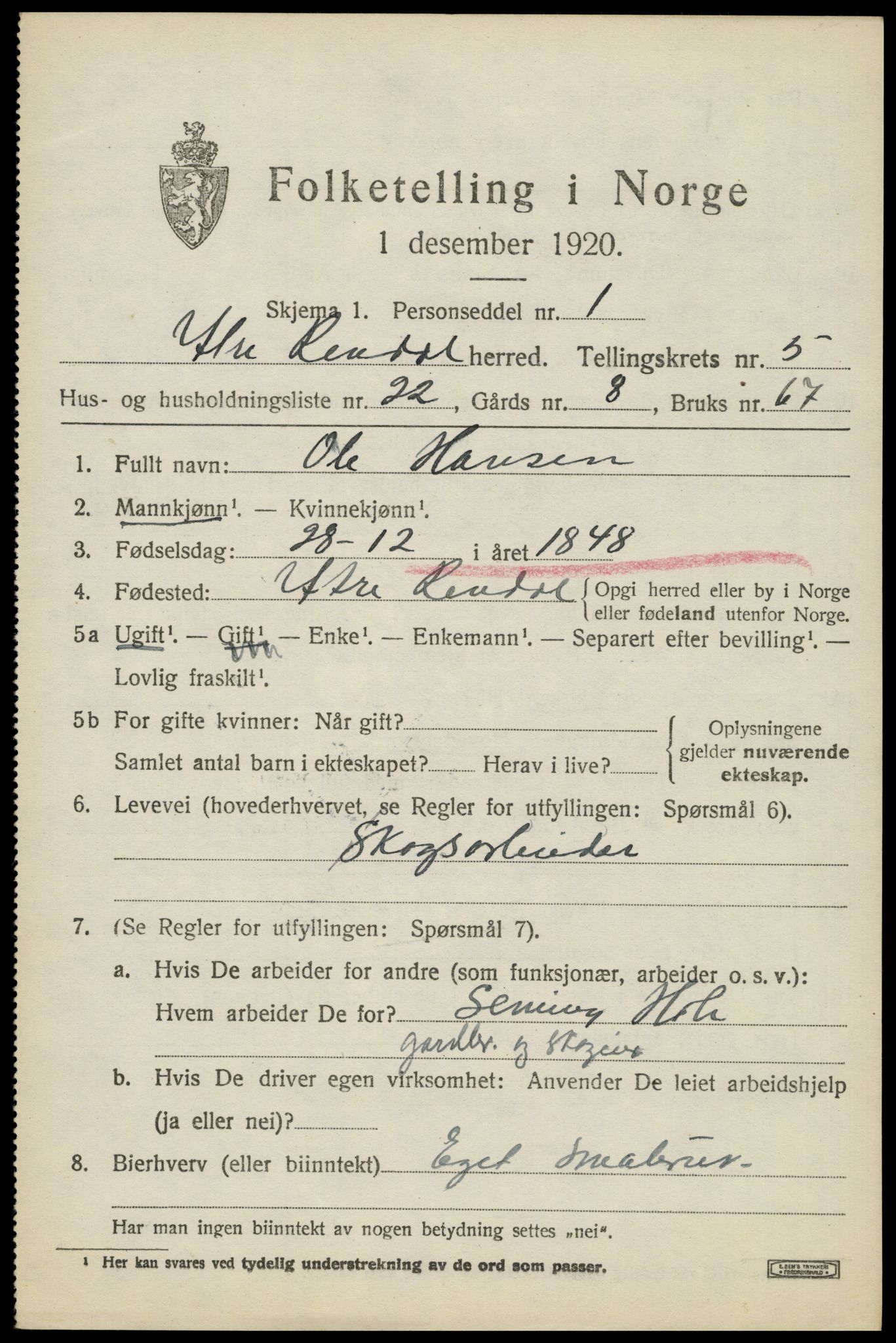 SAH, Folketelling 1920 for 0432 Ytre Rendal herred, 1920, s. 2891