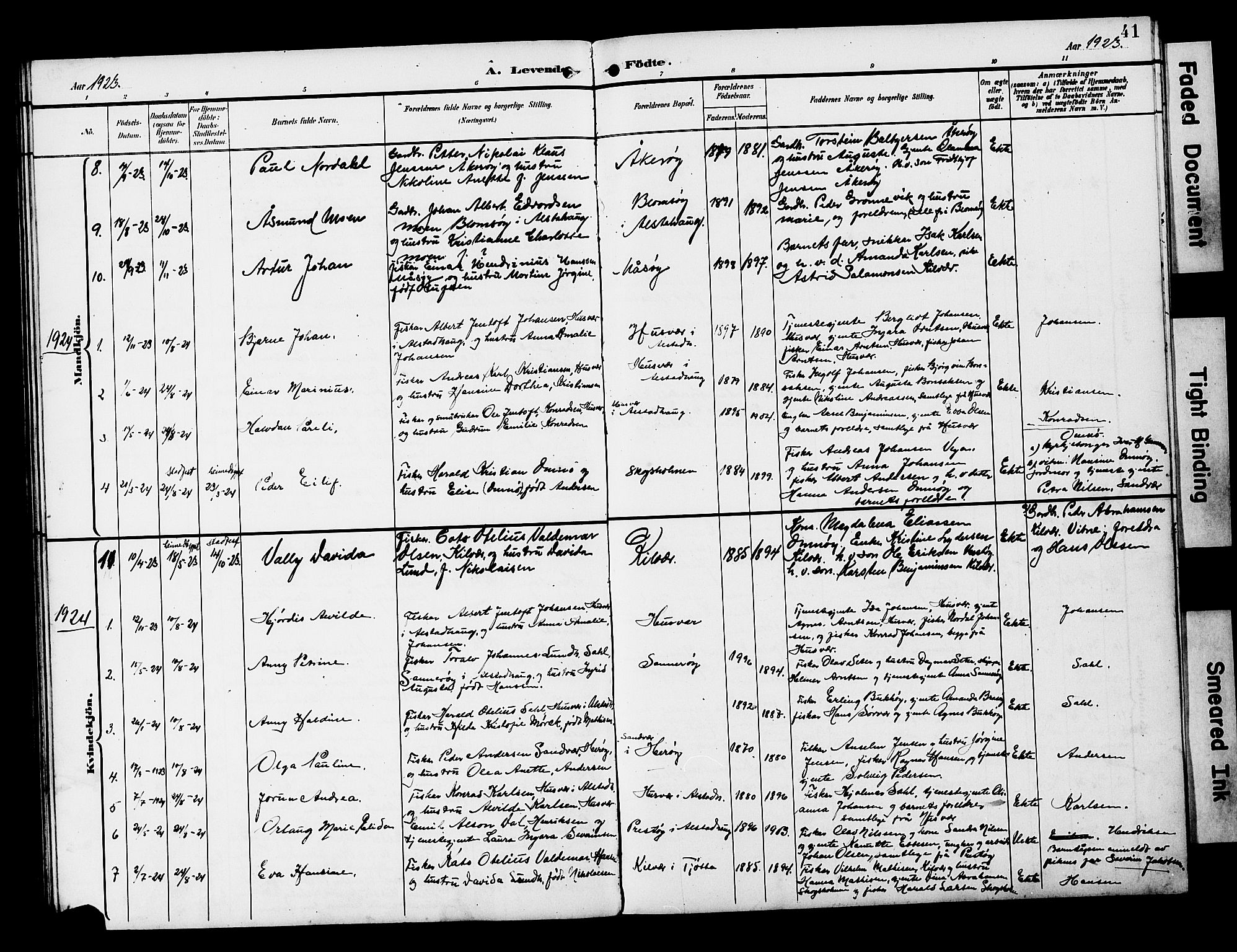 Ministerialprotokoller, klokkerbøker og fødselsregistre - Nordland, AV/SAT-A-1459/818/L0273: Klokkerbok nr. 818C01, 1893-1928, s. 41