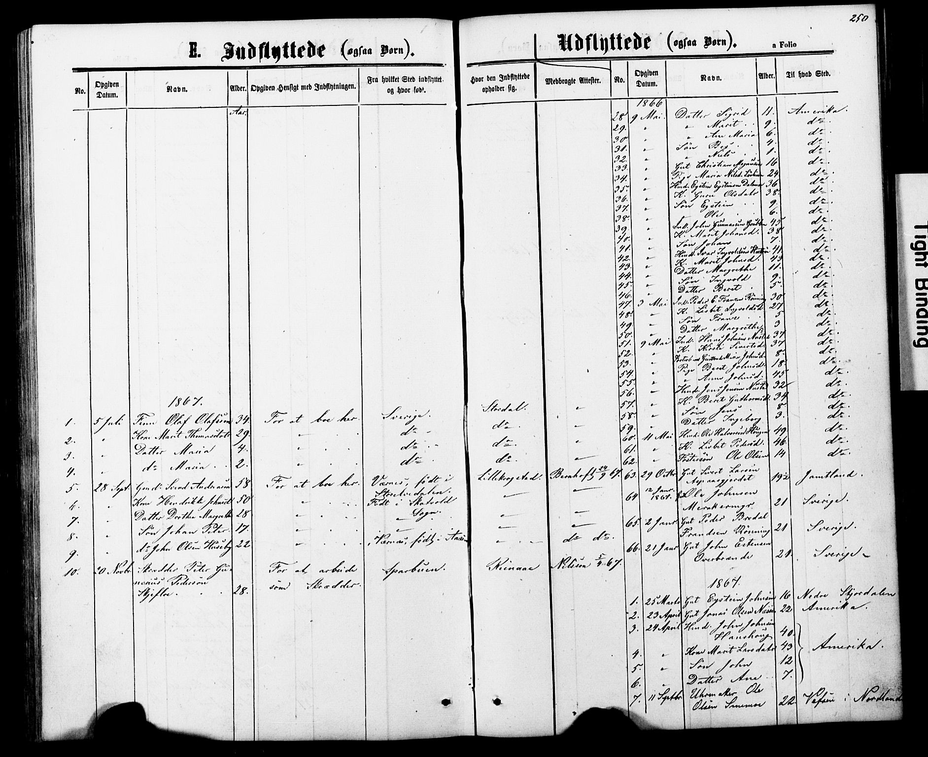 Ministerialprotokoller, klokkerbøker og fødselsregistre - Nord-Trøndelag, SAT/A-1458/706/L0049: Klokkerbok nr. 706C01, 1864-1895, s. 250