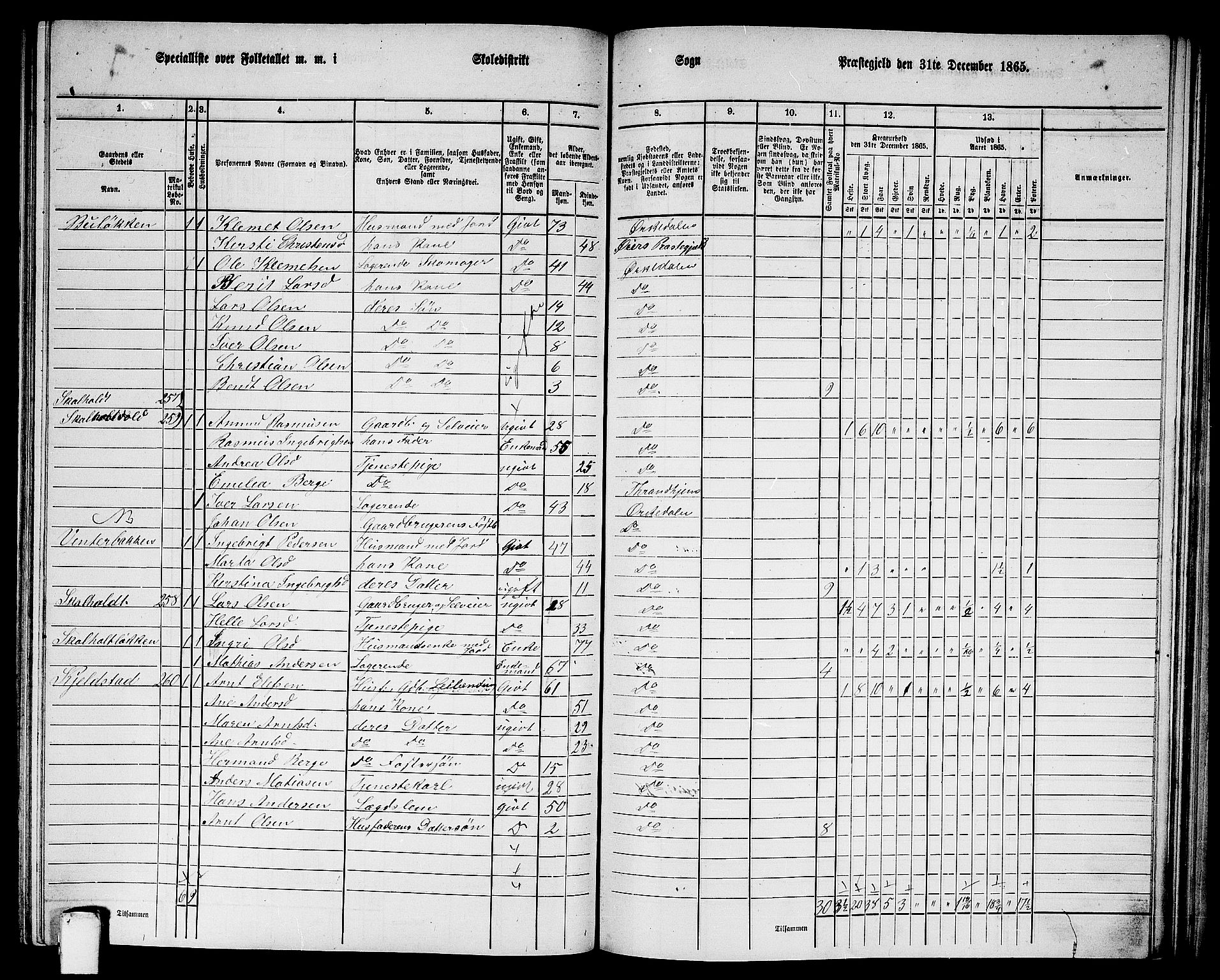 RA, Folketelling 1865 for 1638P Orkdal prestegjeld, 1865, s. 201