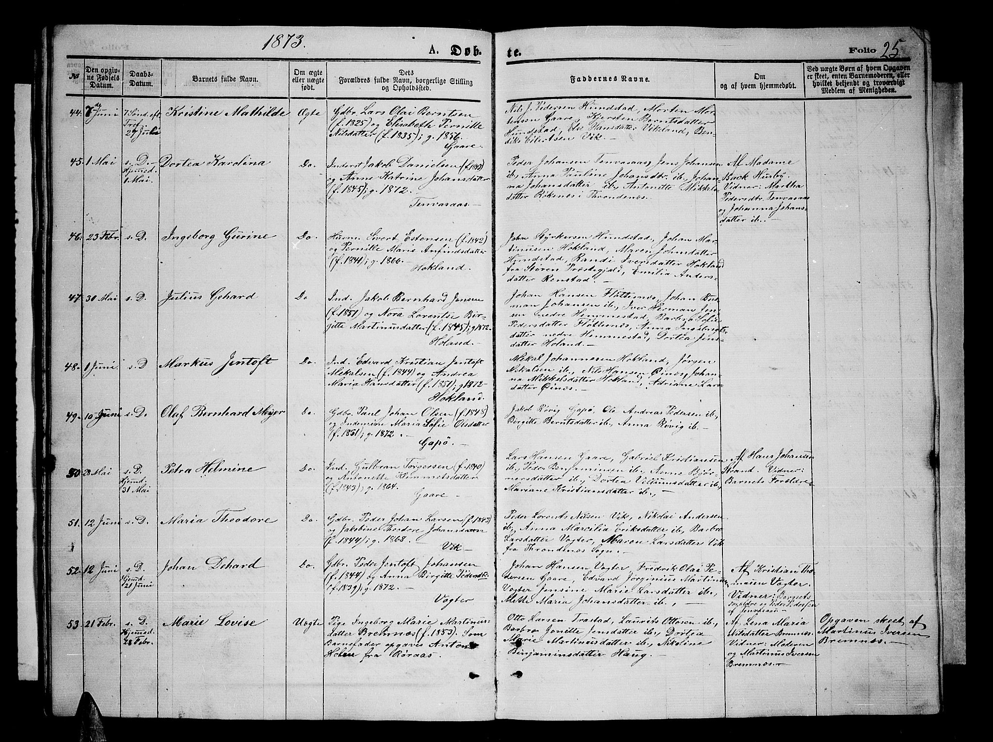 Kvæfjord sokneprestkontor, AV/SATØ-S-1323/G/Ga/Gab/L0004klokker: Klokkerbok nr. 4, 1870-1886, s. 25