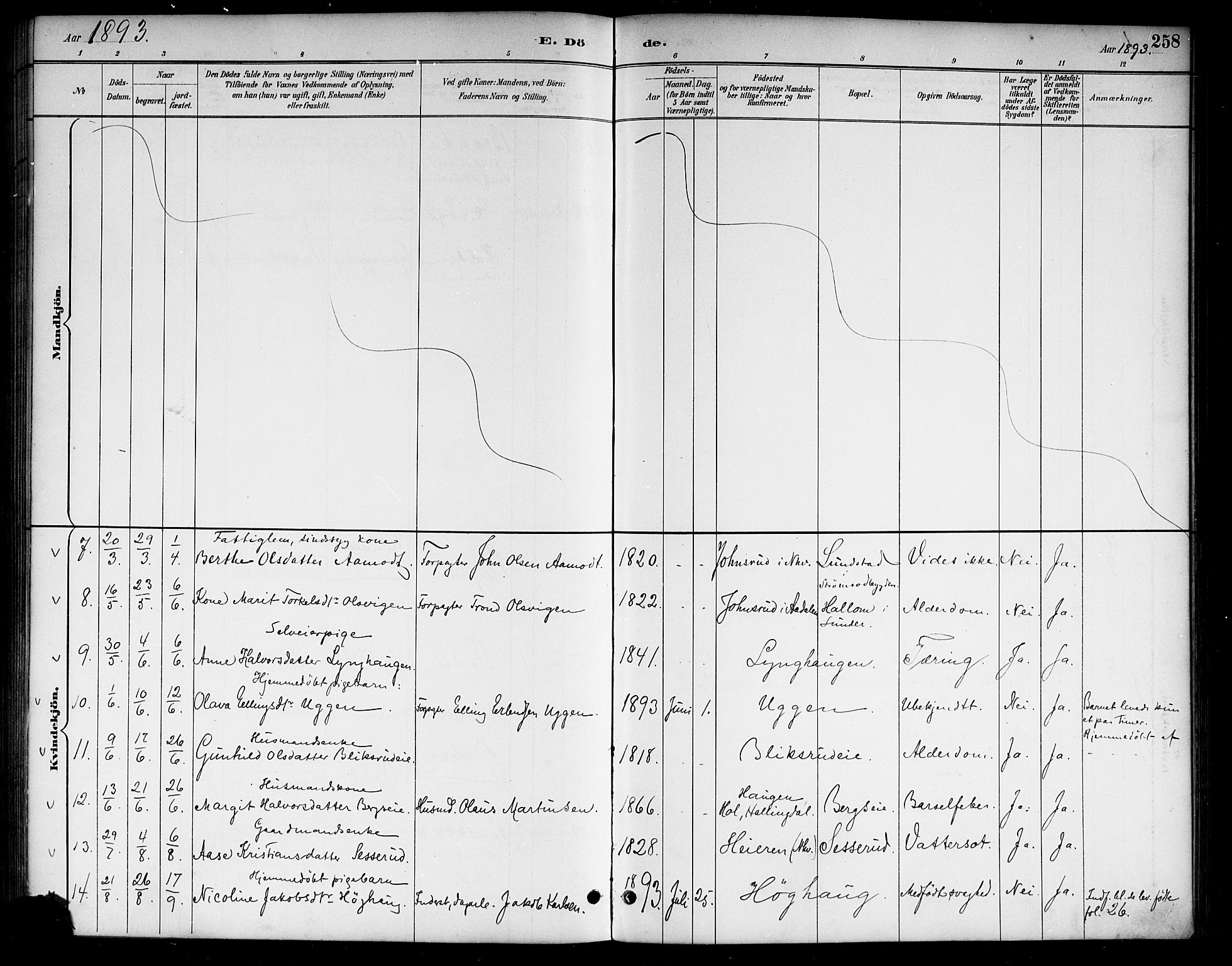 Lunder kirkebøker, SAKO/A-629/G/Ga/L0004: Klokkerbok nr. I 4, 1889-1917, s. 258