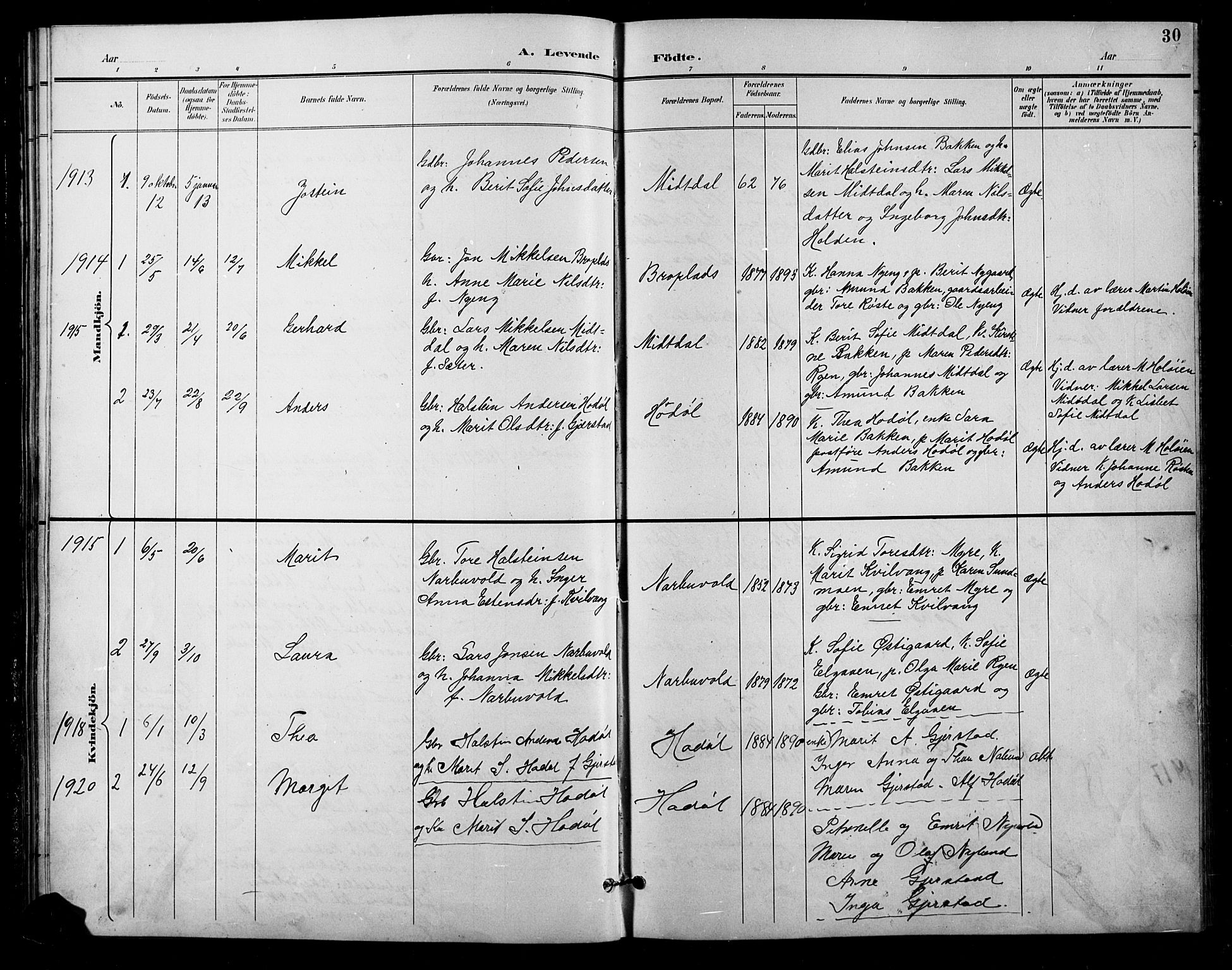 Tolga prestekontor, AV/SAH-PREST-062/L/L0011: Klokkerbok nr. 11, 1894-1925, s. 30