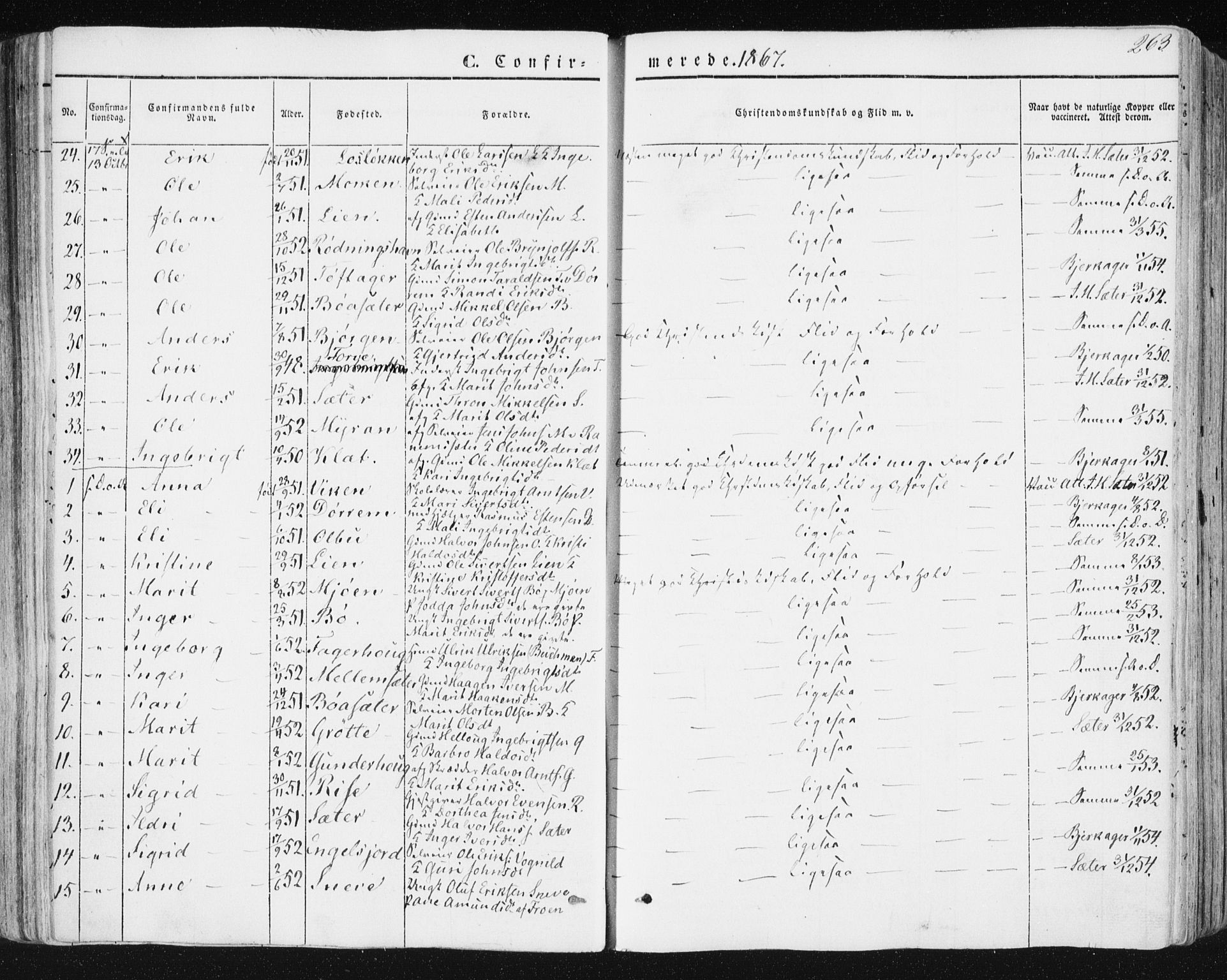 Ministerialprotokoller, klokkerbøker og fødselsregistre - Sør-Trøndelag, AV/SAT-A-1456/678/L0899: Ministerialbok nr. 678A08, 1848-1872, s. 263