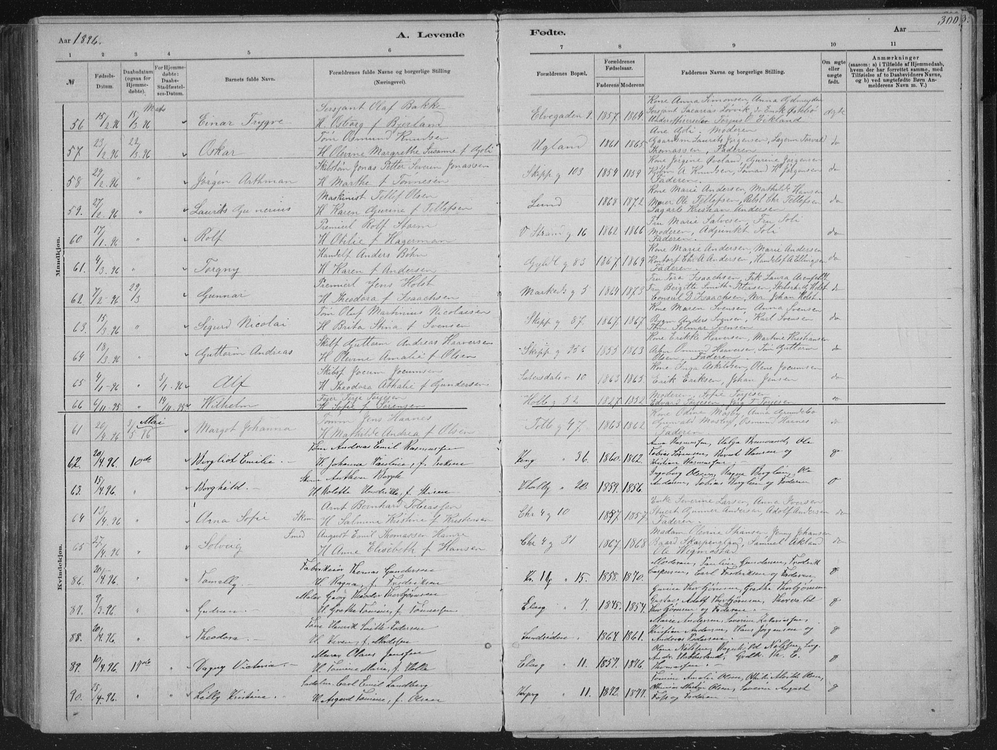 Kristiansand domprosti, AV/SAK-1112-0006/F/Fb/L0014: Klokkerbok nr. B 14, 1881-1896, s. 300