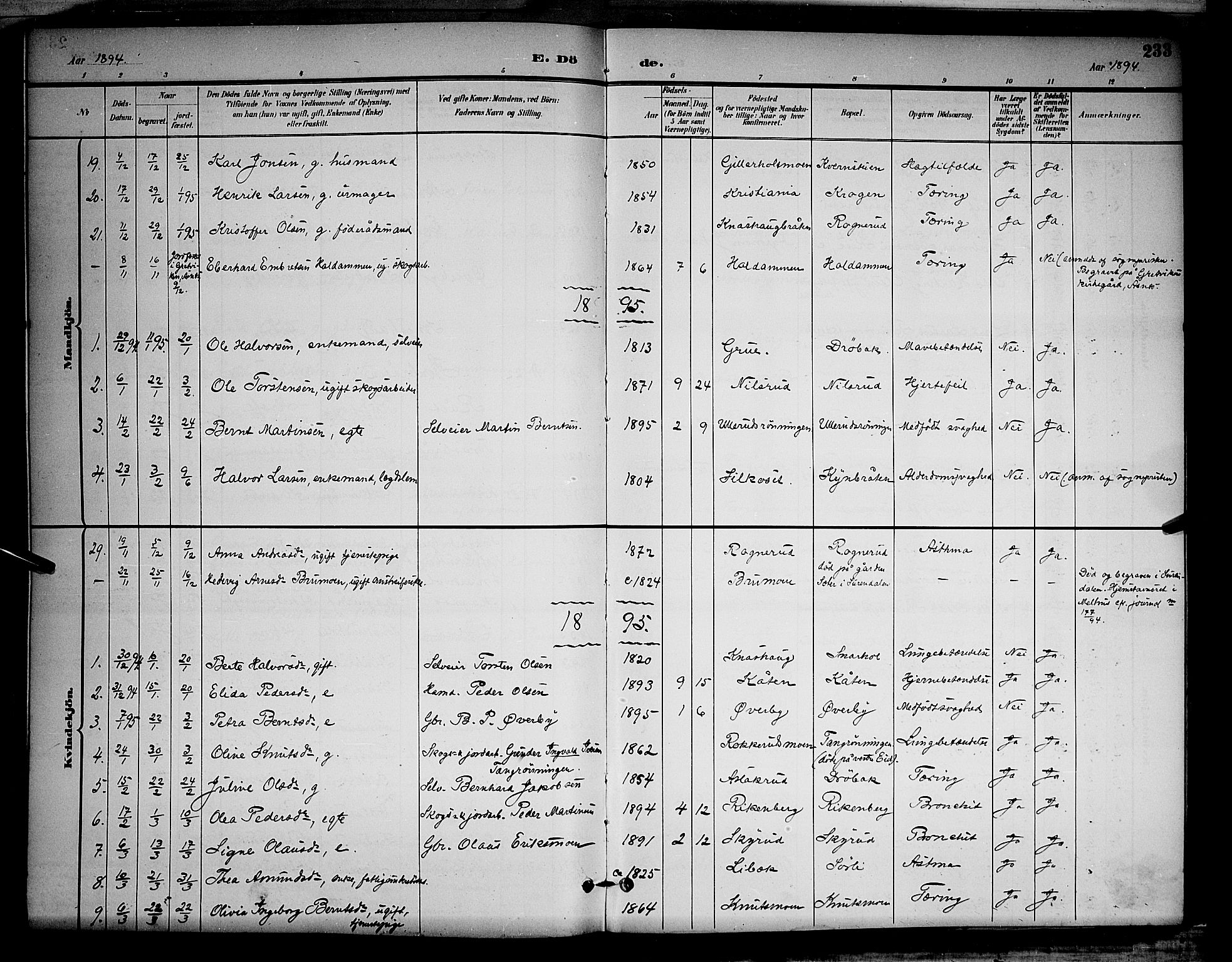 Våler prestekontor, Hedmark, AV/SAH-PREST-040/H/Ha/Hab/L0001: Klokkerbok nr. 1, 1894-1904, s. 233