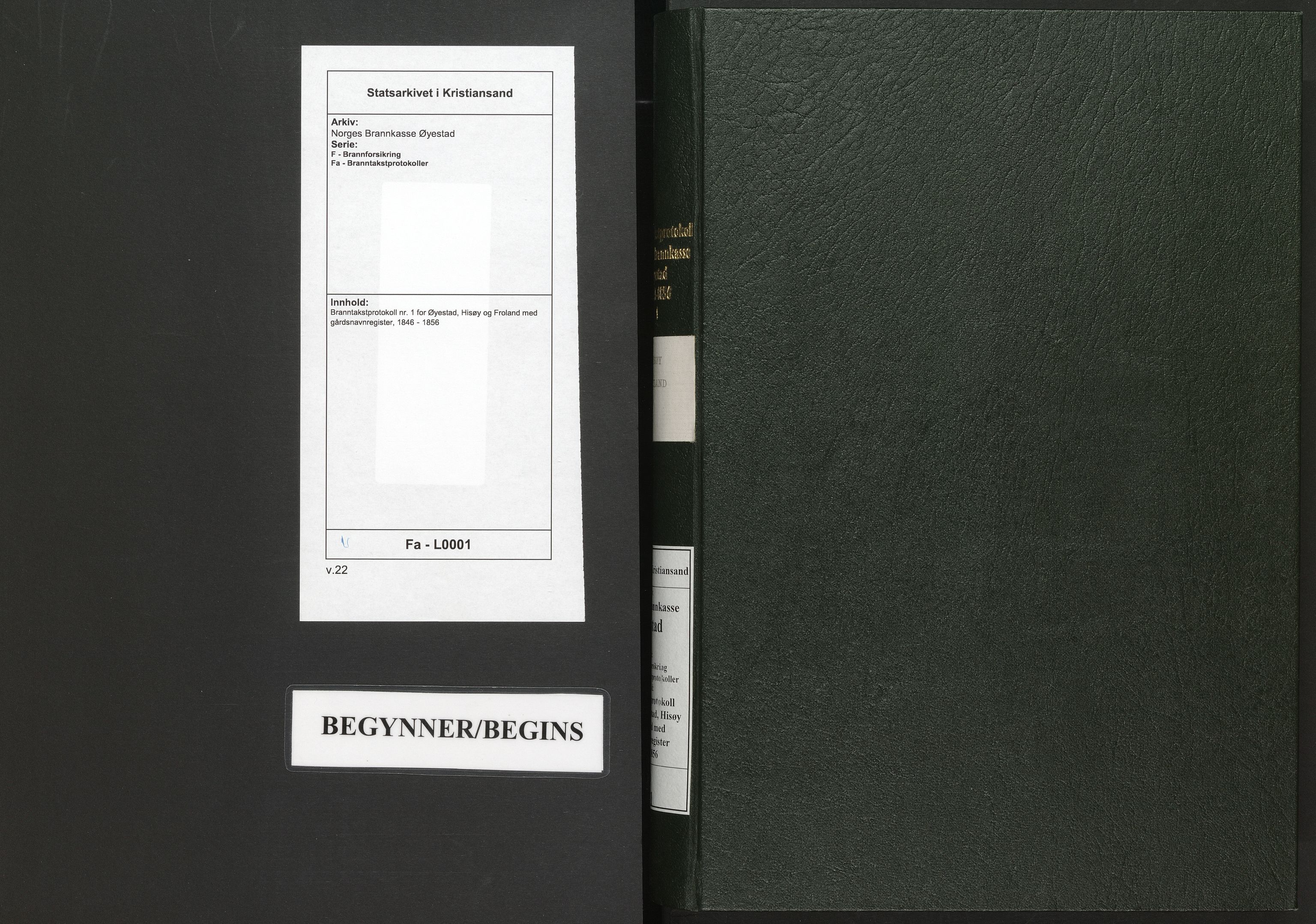 Norges Brannkasse Øyestad, AV/SAK-2241-0059/F/Fa/L0001: Branntakstprotokoll nr. 1 for Øyestad, Hisøy og Froland med gårdsnavnregister, 1846-1856