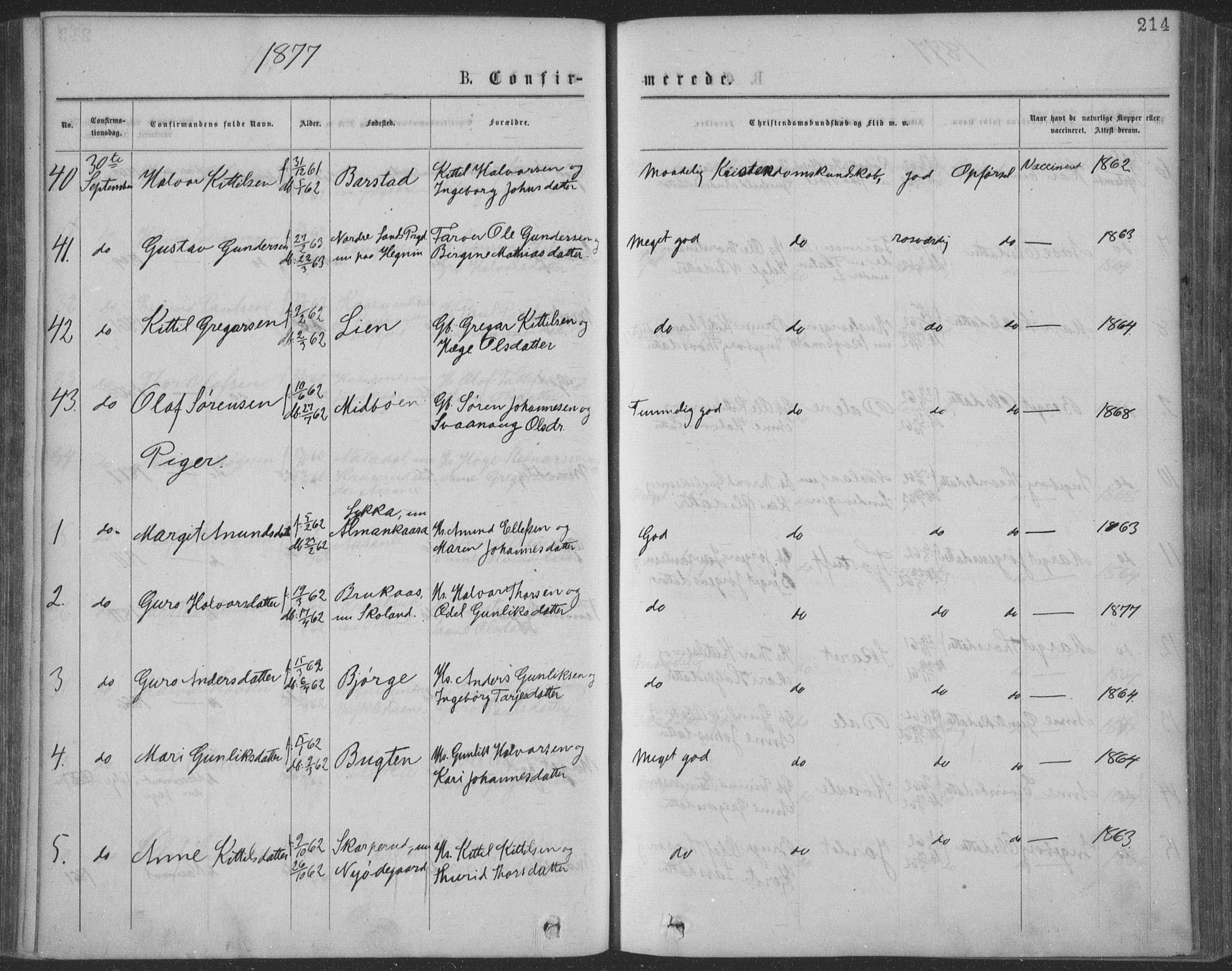 Seljord kirkebøker, AV/SAKO-A-20/F/Fa/L0014: Ministerialbok nr. I 14, 1877-1886, s. 214