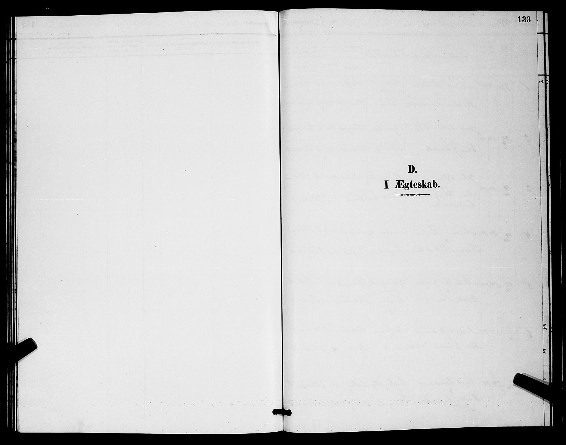 Kistrand/Porsanger sokneprestembete, SATØ/S-1351/H/Hb/L0004.klokk: Klokkerbok nr. 4, 1885-1894, s. 133