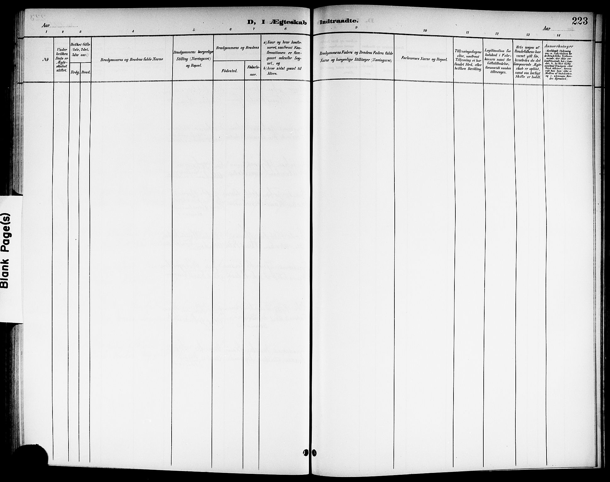 Brunlanes kirkebøker, SAKO/A-342/G/Ga/L0004: Klokkerbok nr. I 4, 1898-1921, s. 223