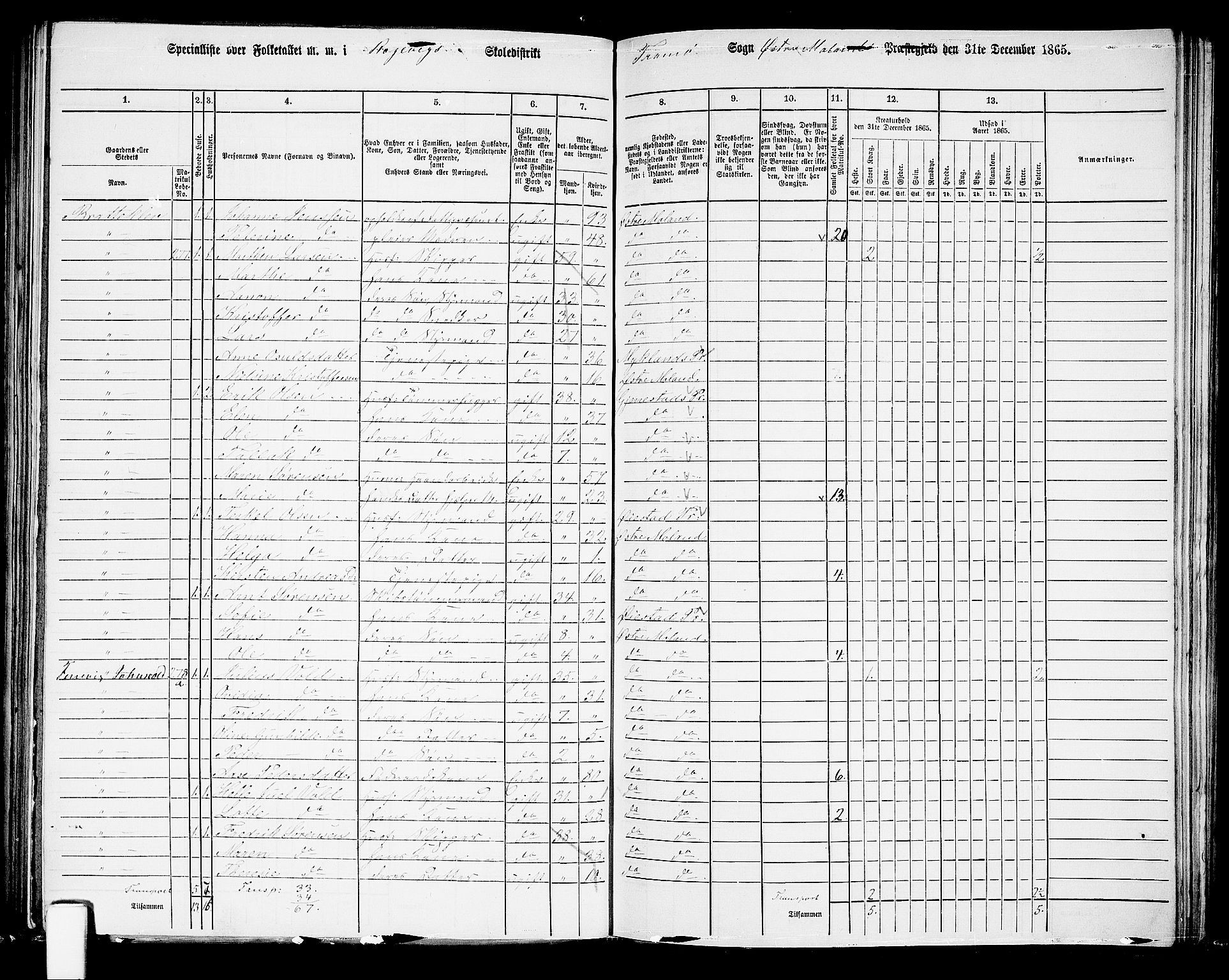 RA, Folketelling 1865 for 0918P Austre Moland prestegjeld, 1865, s. 233