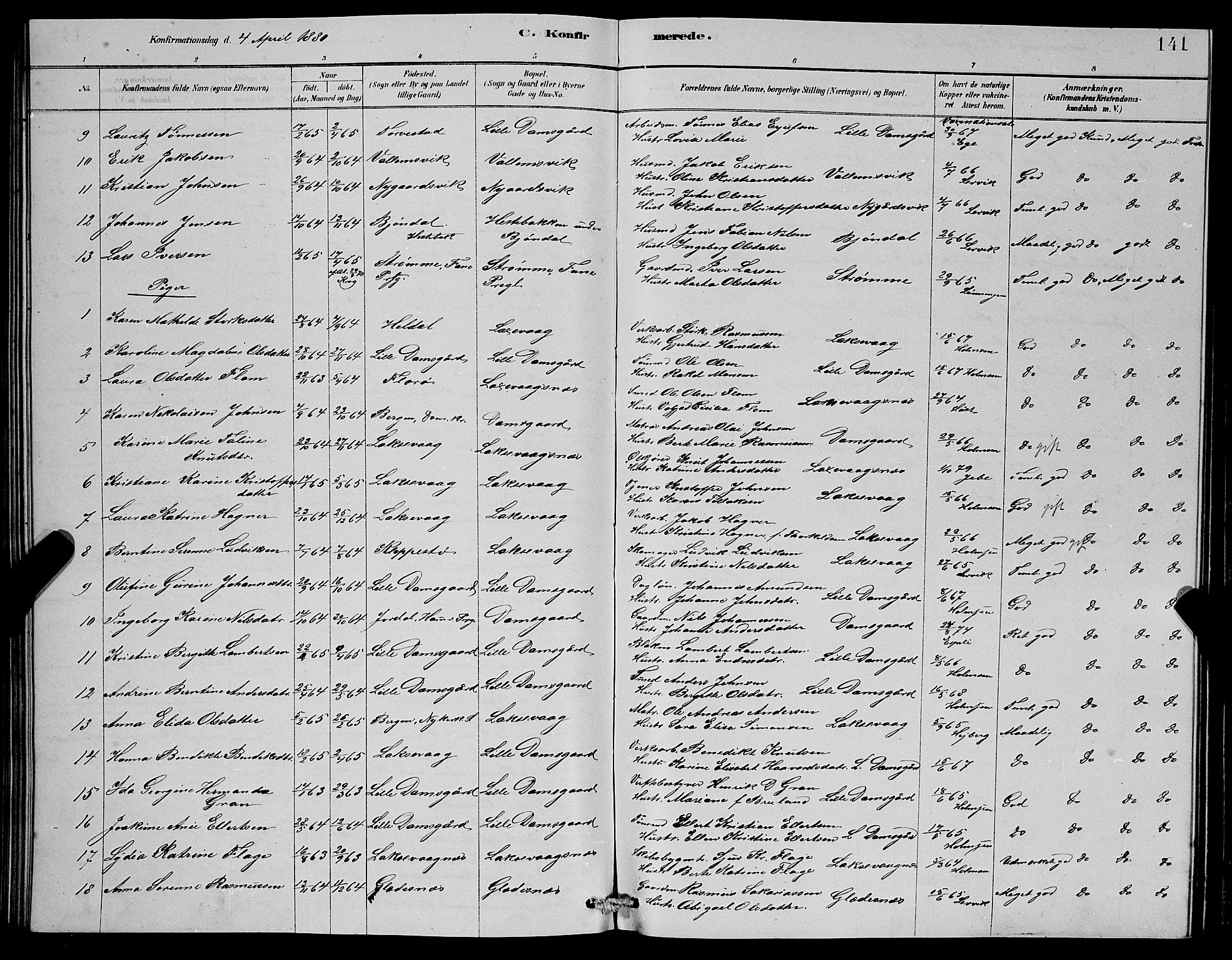 Laksevåg Sokneprestembete, AV/SAB-A-76501/H/Ha/Hab/Haba/L0002: Klokkerbok nr. A 2, 1877-1887, s. 141
