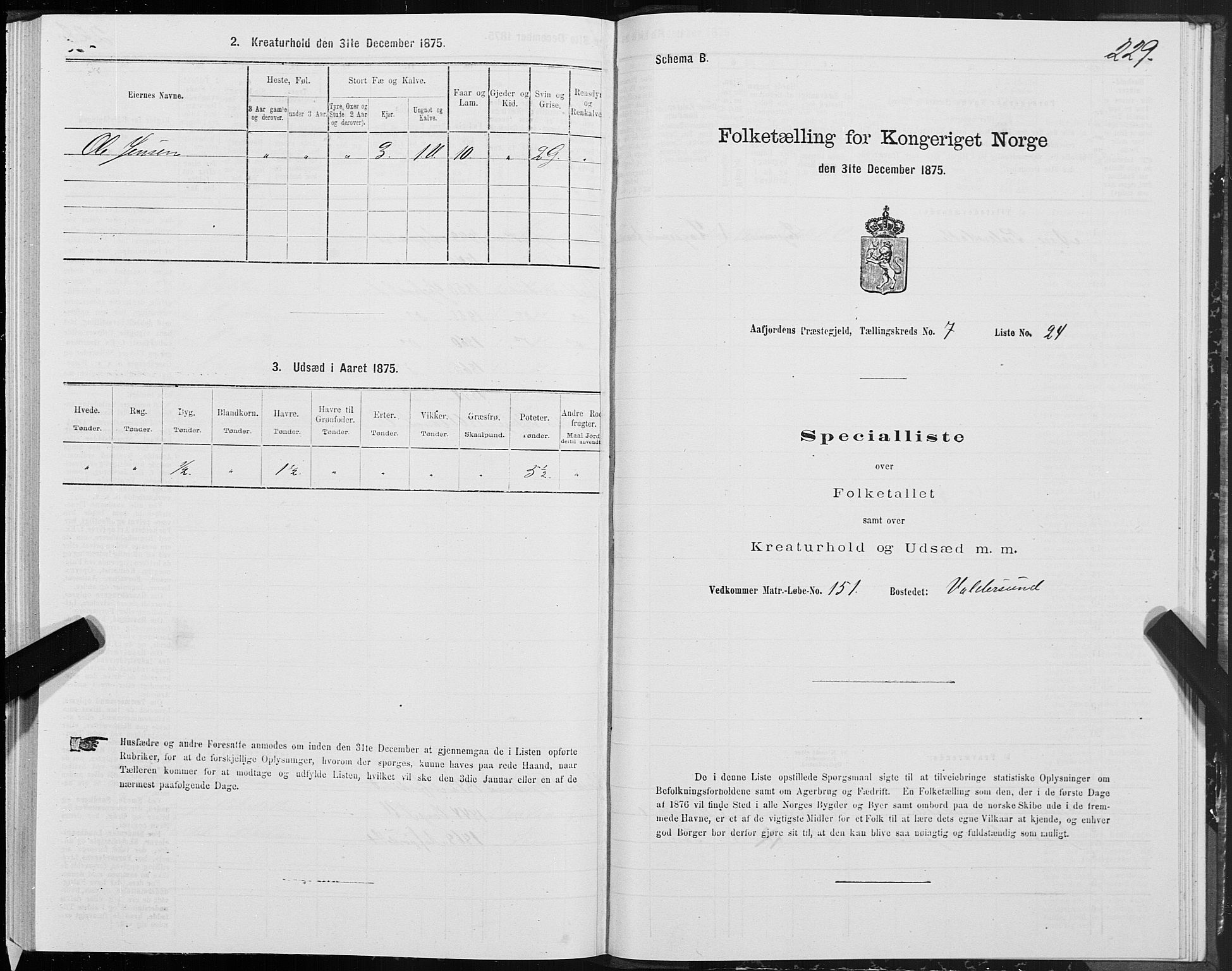 SAT, Folketelling 1875 for 1630P Aafjorden prestegjeld, 1875, s. 3229