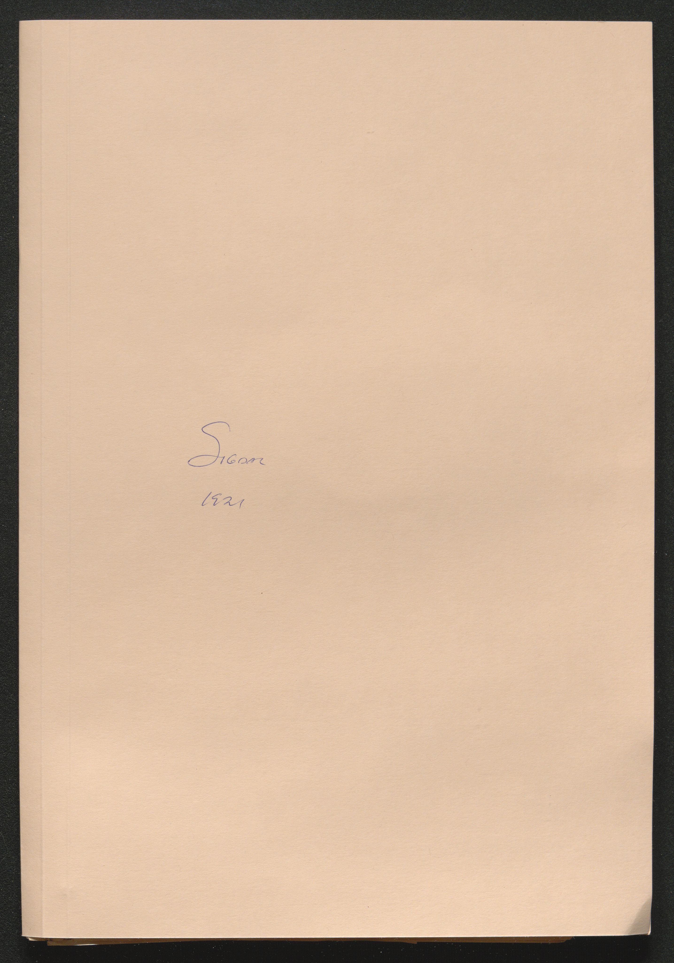 Eiker, Modum og Sigdal sorenskriveri, AV/SAKO-A-123/H/Ha/Hab/L0040: Dødsfallsmeldinger, 1920-1921, s. 1113