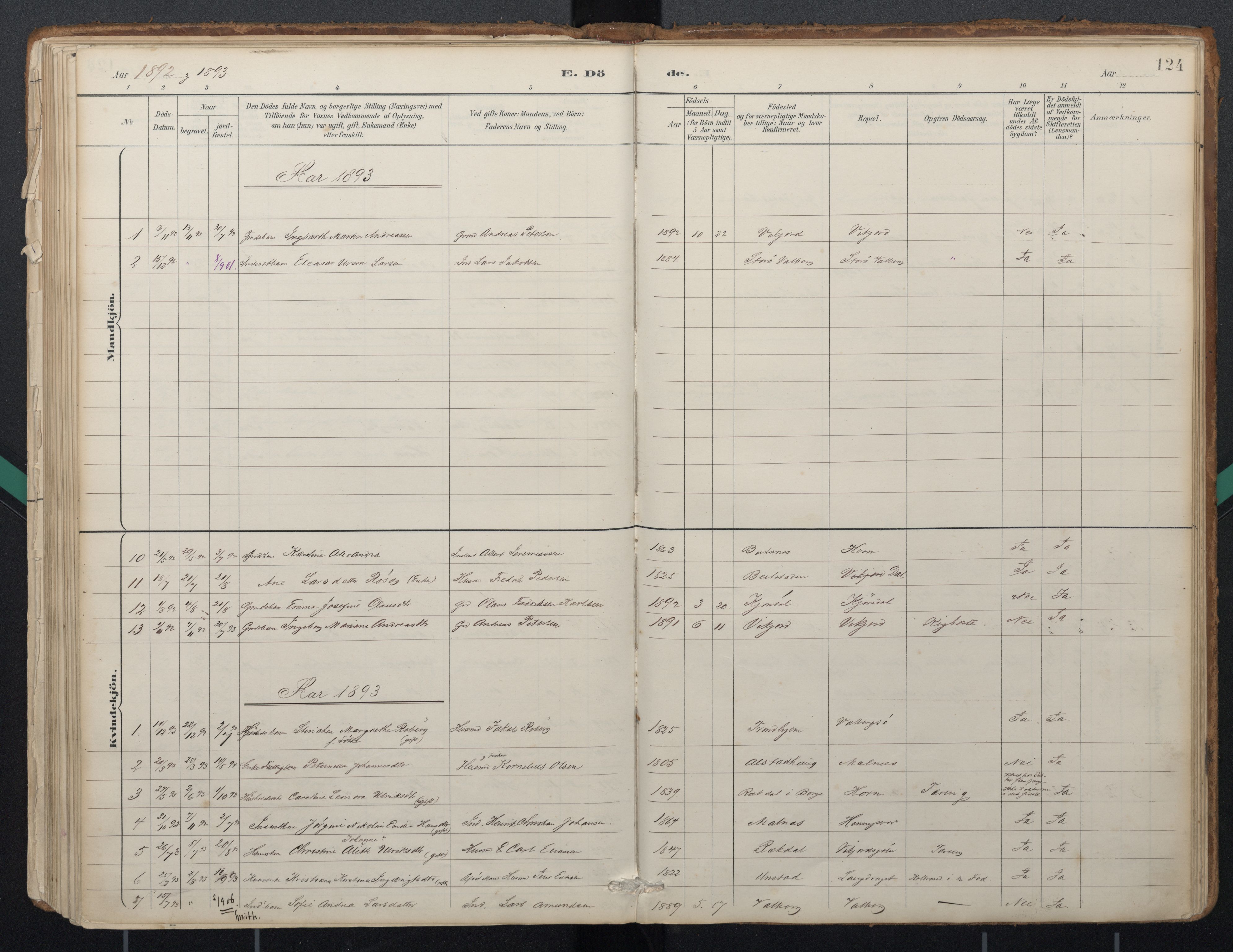 Ministerialprotokoller, klokkerbøker og fødselsregistre - Nordland, AV/SAT-A-1459/884/L1193: Ministerialbok nr. 884A01, 1888-1905, s. 124