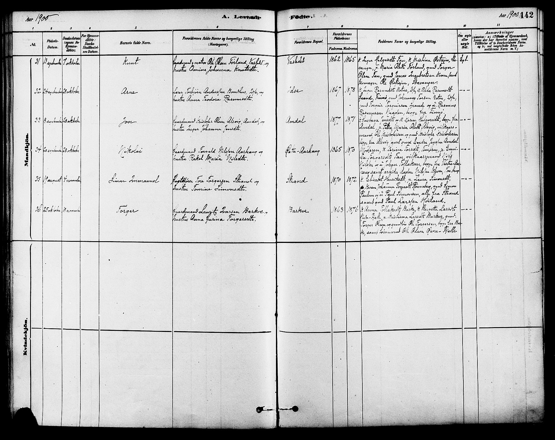 Strand sokneprestkontor, AV/SAST-A-101828/H/Ha/Haa/L0009: Ministerialbok nr. A 9, 1877-1908, s. 142