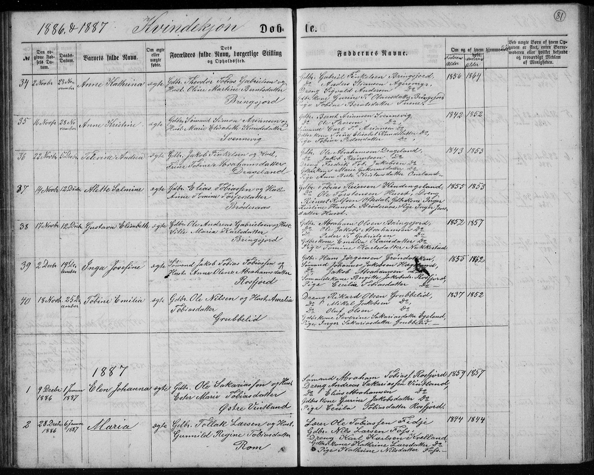 Lyngdal sokneprestkontor, AV/SAK-1111-0029/F/Fb/Fbc/L0004: Klokkerbok nr. B 4, 1878-1896, s. 81
