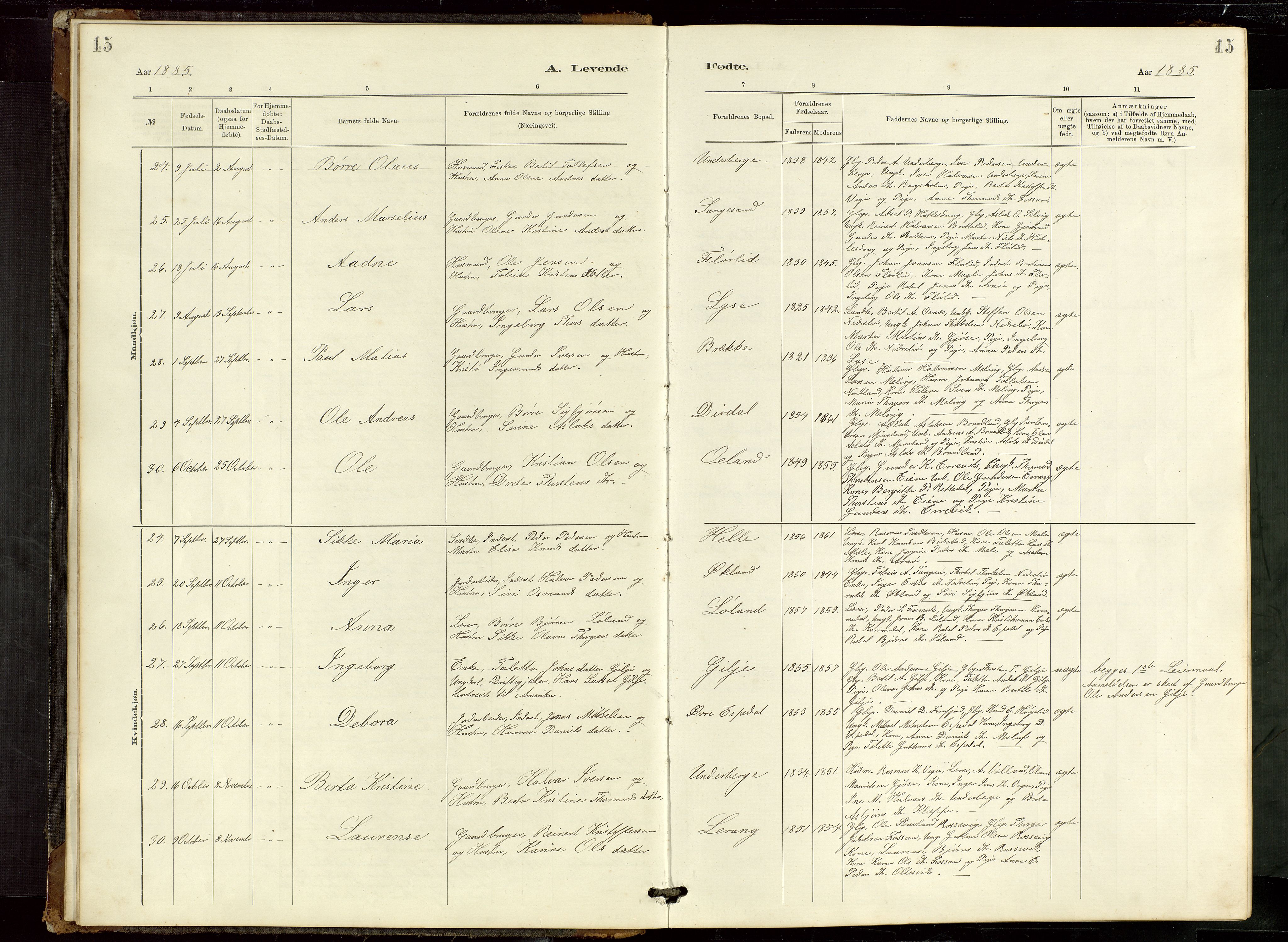 Høgsfjord sokneprestkontor, AV/SAST-A-101624/H/Ha/Hab/L0009: Klokkerbok nr. B 9, 1883-1920, s. 15