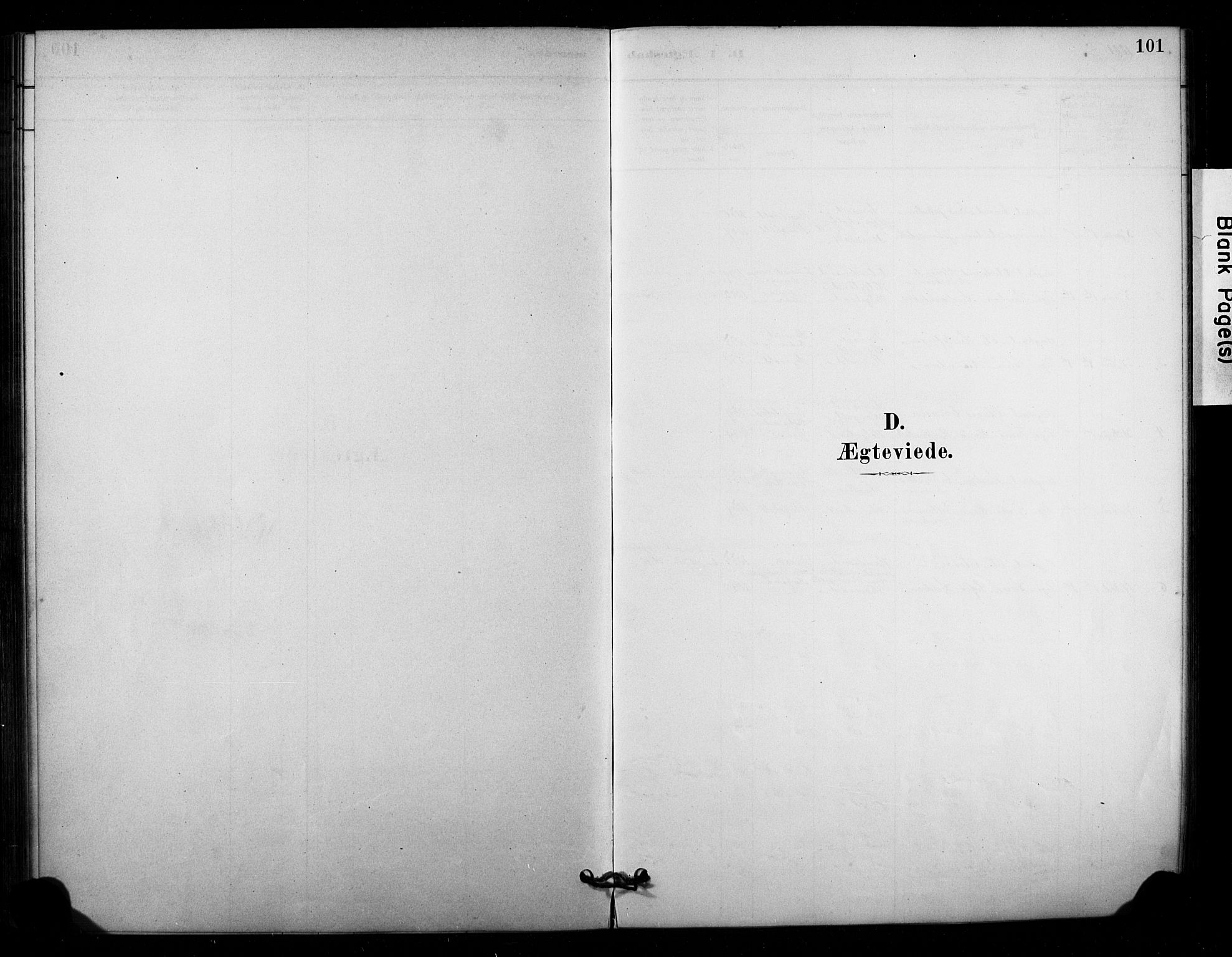 Lardal kirkebøker, SAKO/A-350/F/Fd/L0001: Ministerialbok nr. IV 1, 1881-1907, s. 101