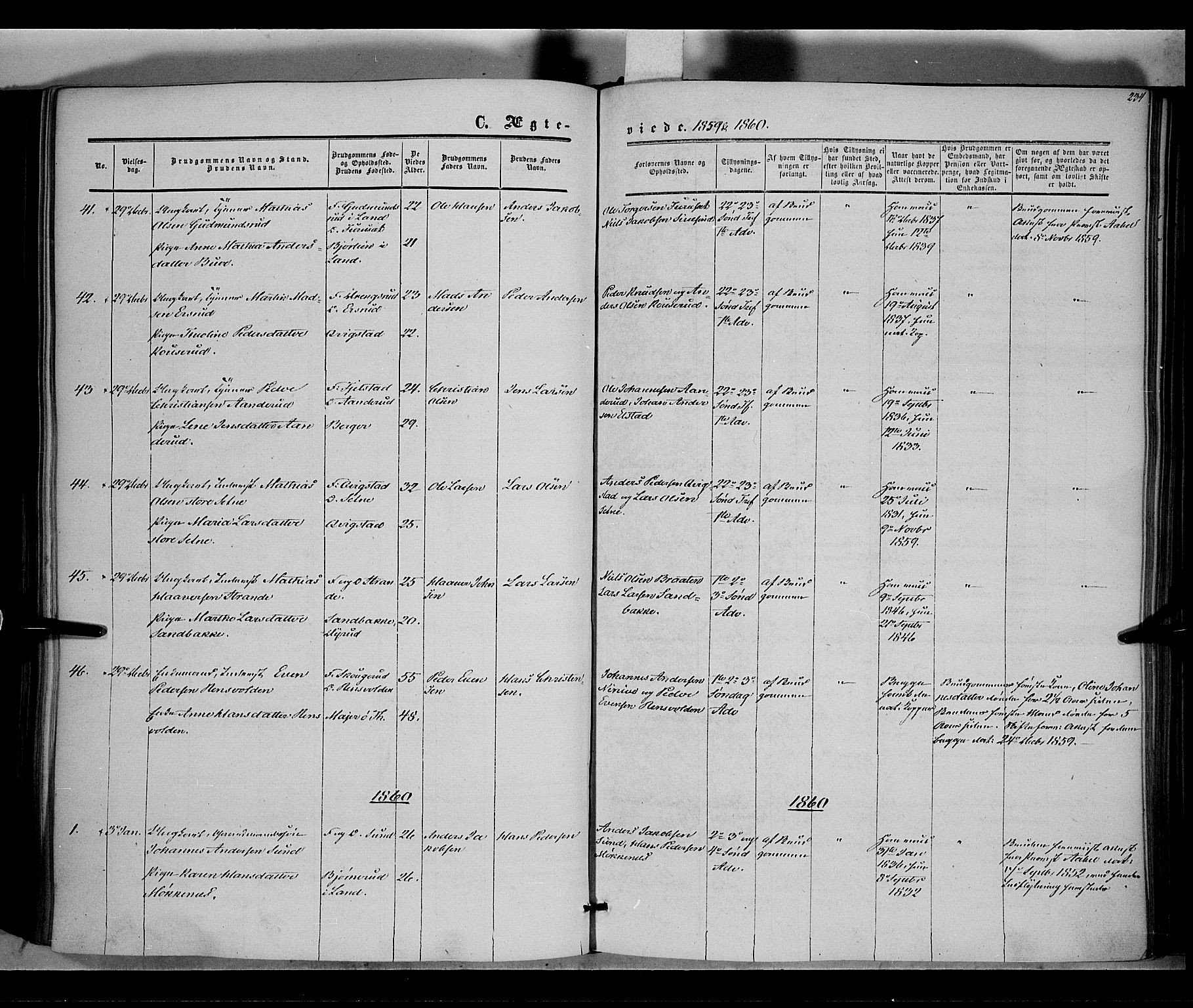Vestre Toten prestekontor, SAH/PREST-108/H/Ha/Haa/L0006: Ministerialbok nr. 6, 1856-1861, s. 234