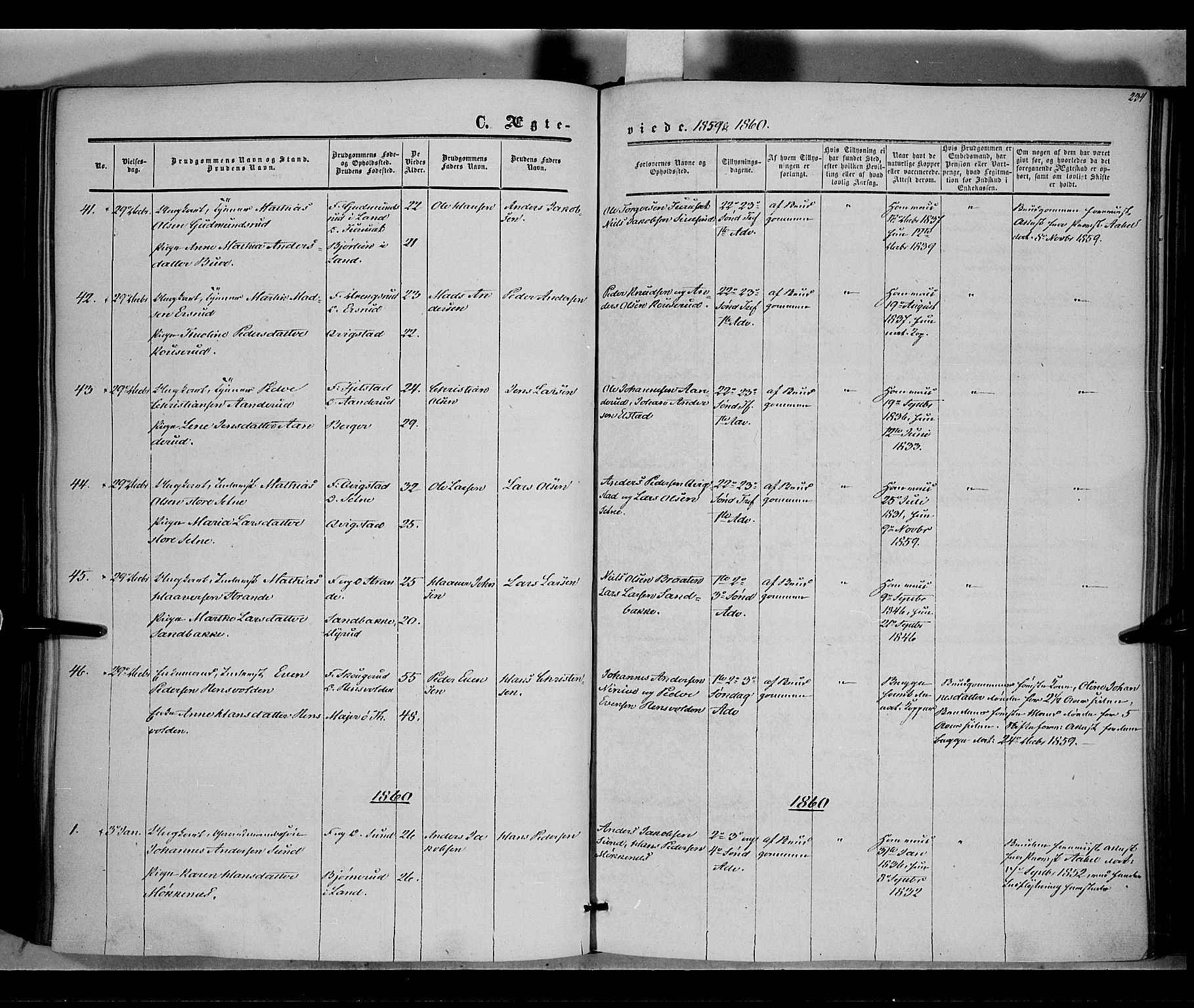 Vestre Toten prestekontor, AV/SAH-PREST-108/H/Ha/Haa/L0006: Ministerialbok nr. 6, 1856-1861, s. 234