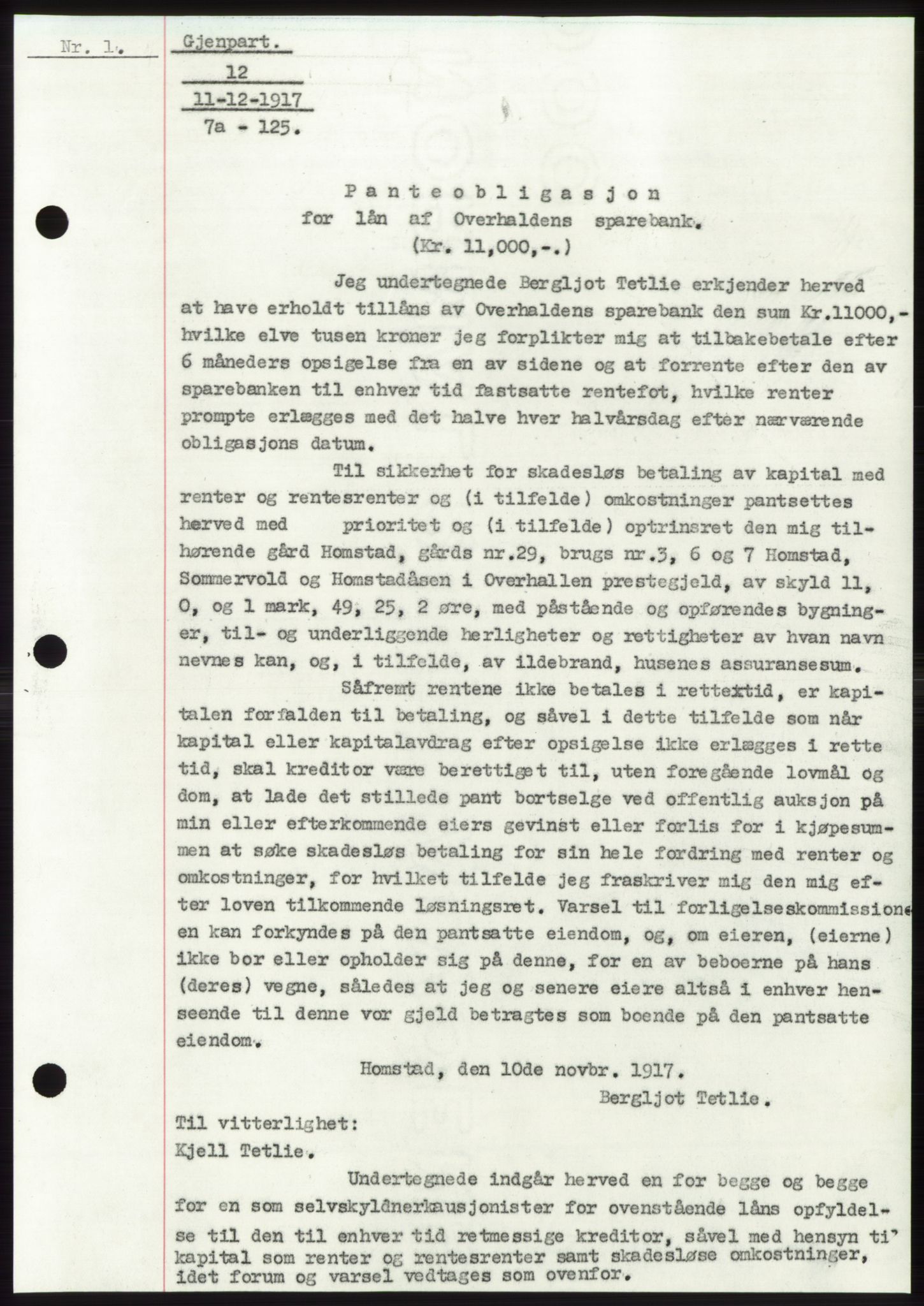 Namdal sorenskriveri, SAT/A-4133/1/2/2C: Pantebok nr. -, 1916-1921, Tingl.dato: 11.12.1917