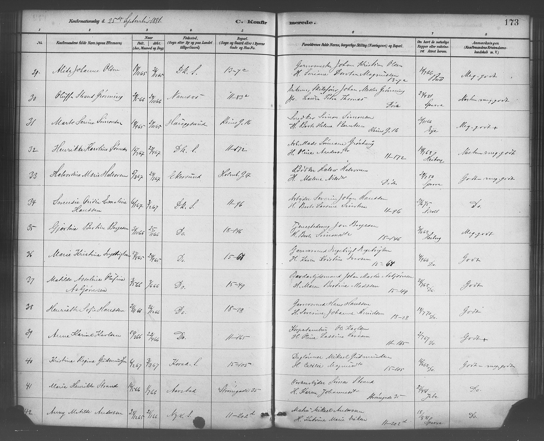 Domkirken sokneprestembete, AV/SAB-A-74801/H/Haa/L0030: Ministerialbok nr. C 5, 1880-1898, s. 173