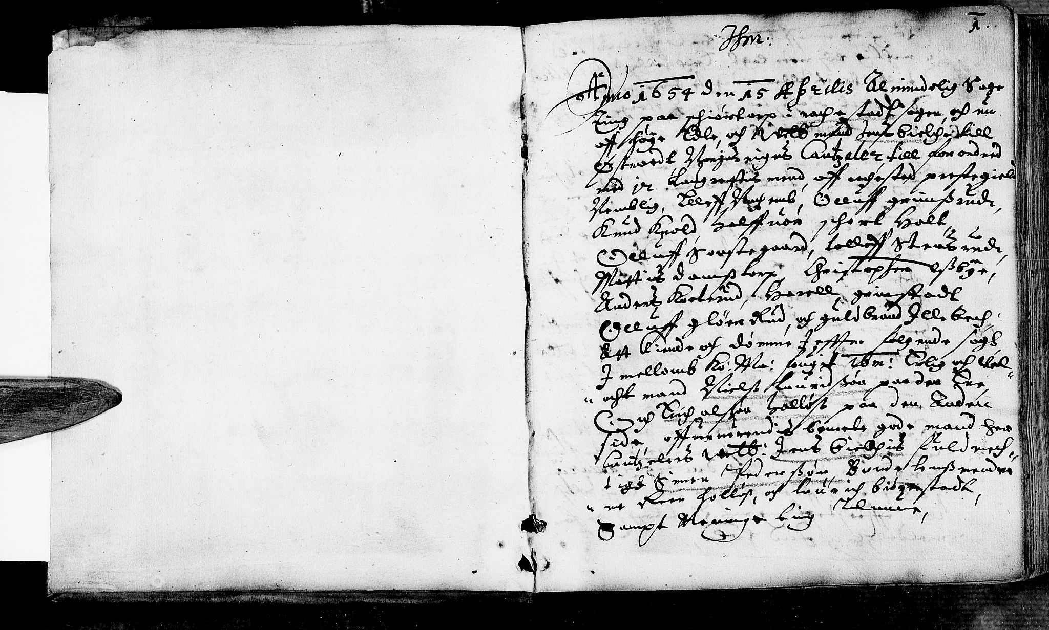 Rakkestad sorenskriveri, AV/SAO-A-10686/F/Fb/L0011: Tingbøker, 1654-1662, s. 0b-1a