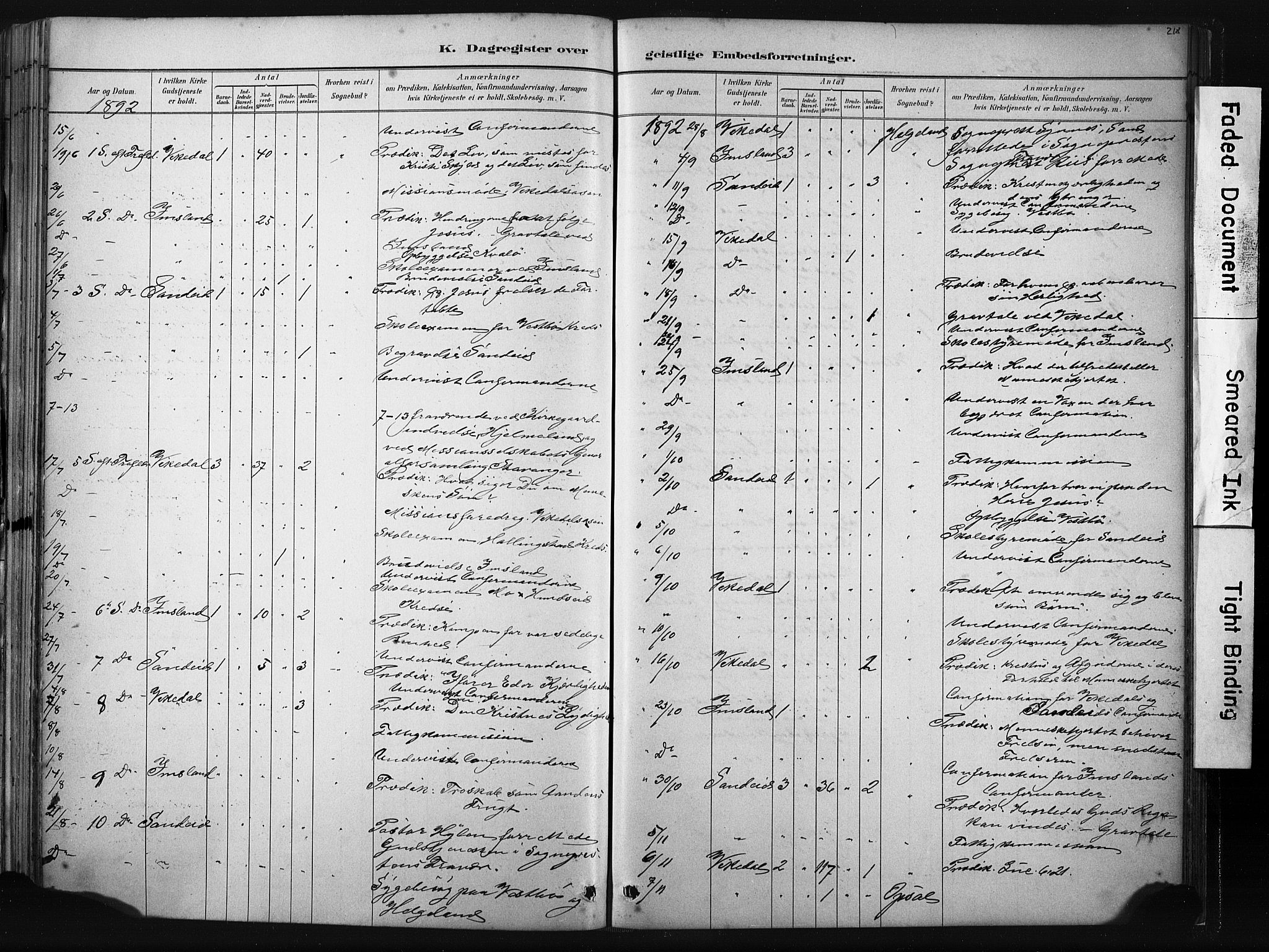 Vikedal sokneprestkontor, AV/SAST-A-101840/01/IV: Ministerialbok nr. A 10, 1884-1907, s. 218