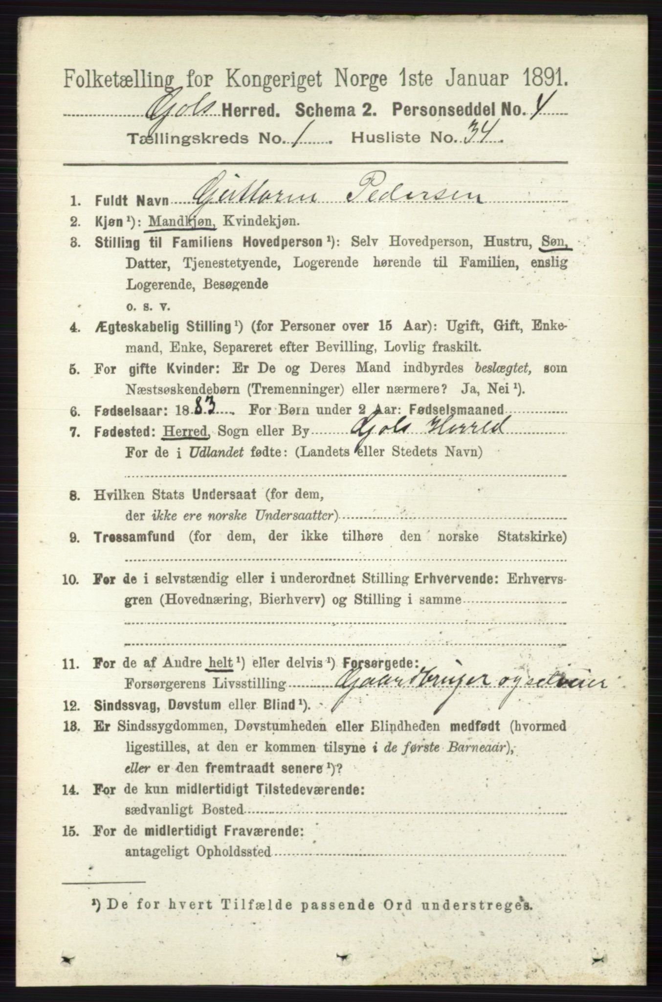 RA, Folketelling 1891 for 0617 Gol og Hemsedal herred, 1891, s. 288