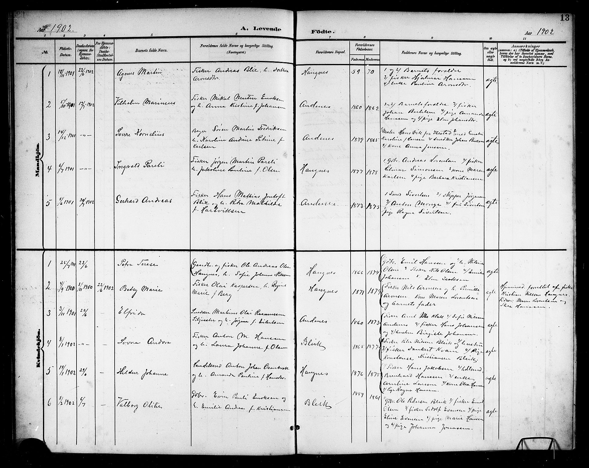 Ministerialprotokoller, klokkerbøker og fødselsregistre - Nordland, SAT/A-1459/899/L1449: Klokkerbok nr. 899C04, 1900-1918, s. 13