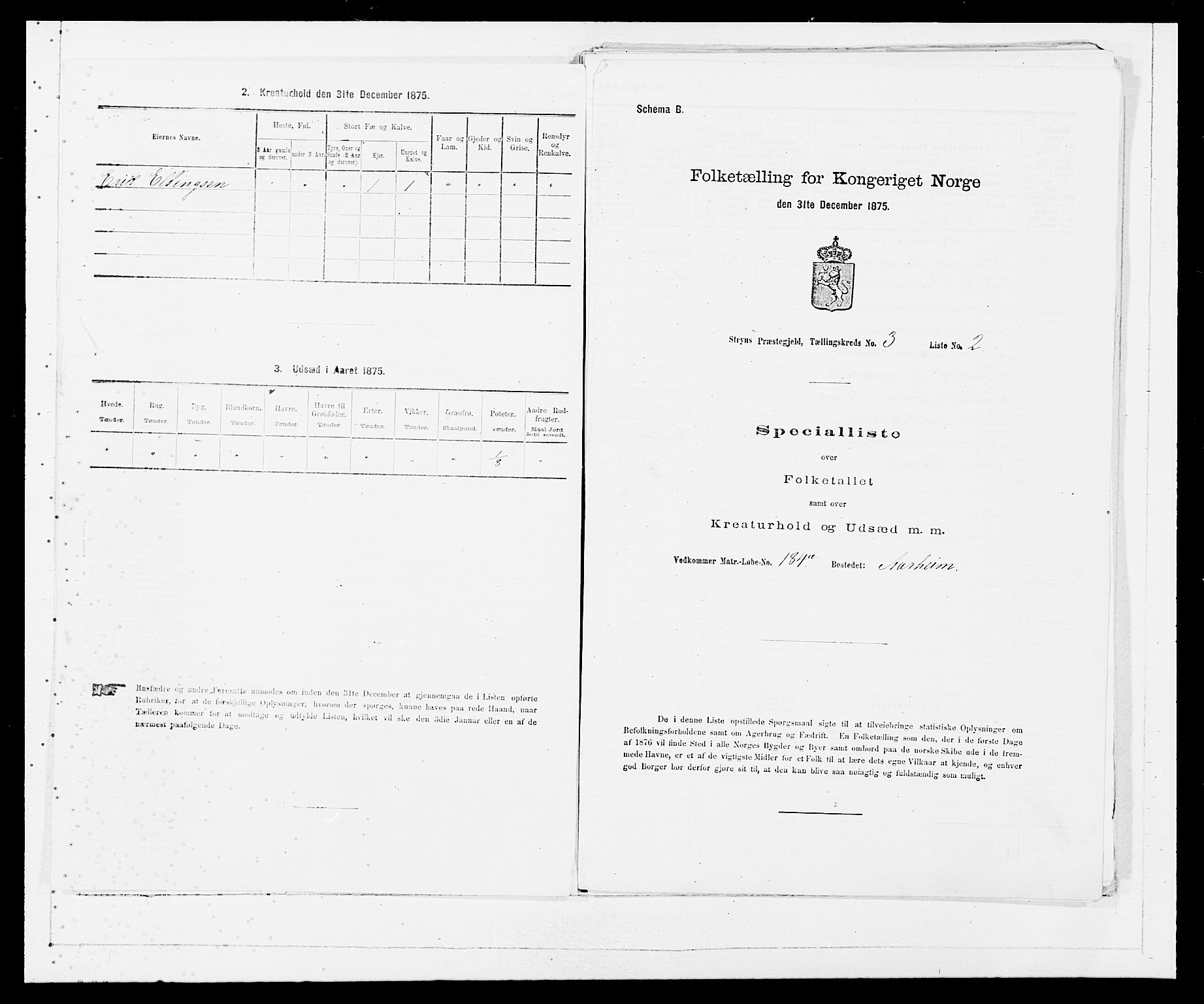 SAB, Folketelling 1875 for 1448P Stryn prestegjeld, 1875, s. 117