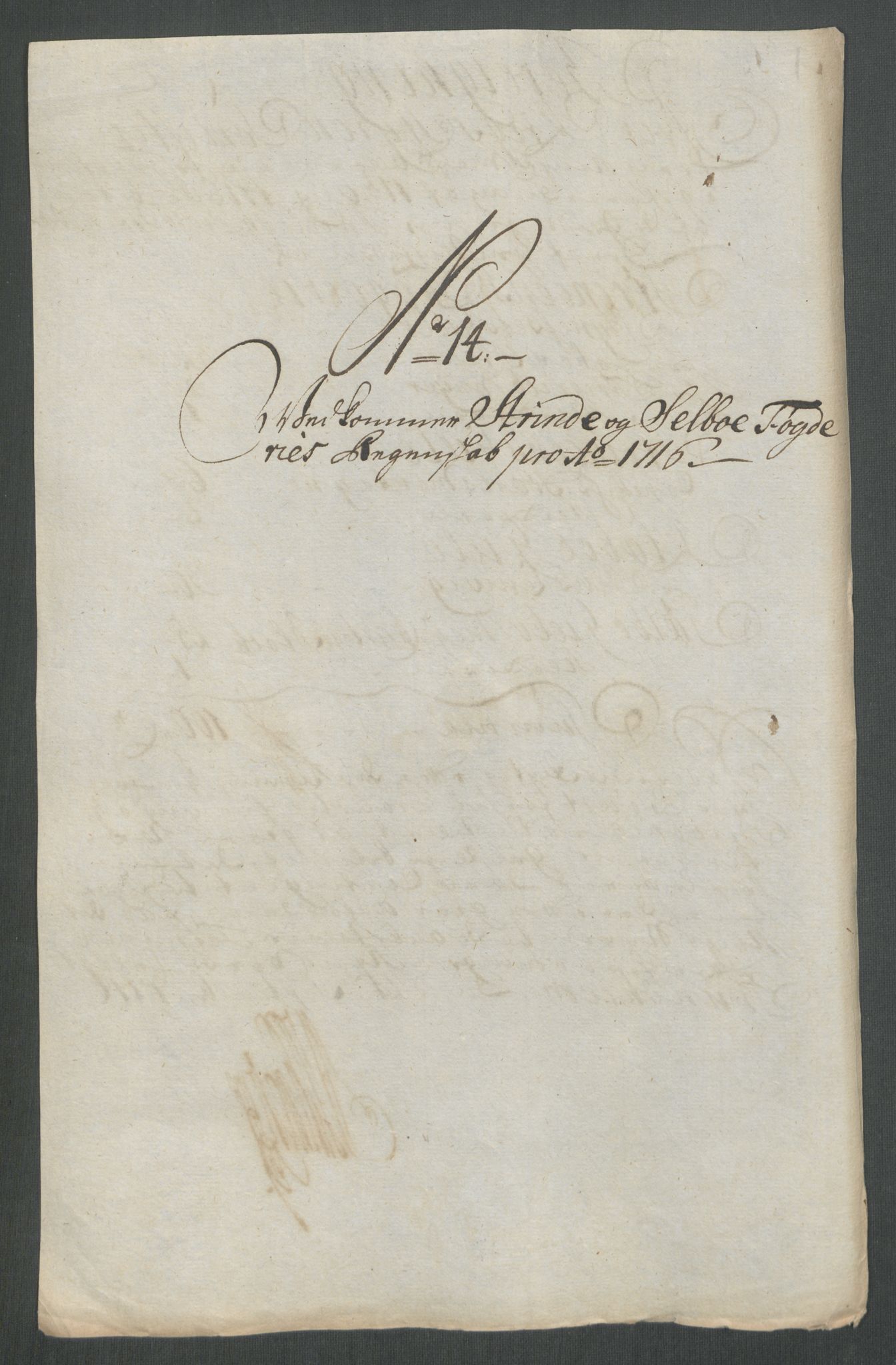 Rentekammeret inntil 1814, Reviderte regnskaper, Fogderegnskap, AV/RA-EA-4092/R61/L4115: Fogderegnskap Strinda og Selbu, 1715-1716, s. 383