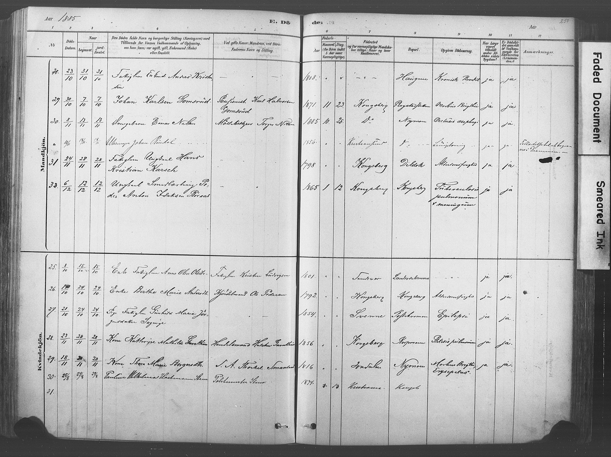 Kongsberg kirkebøker, AV/SAKO-A-22/F/Fb/L0001: Ministerialbok nr. II 1, 1878-1886, s. 250