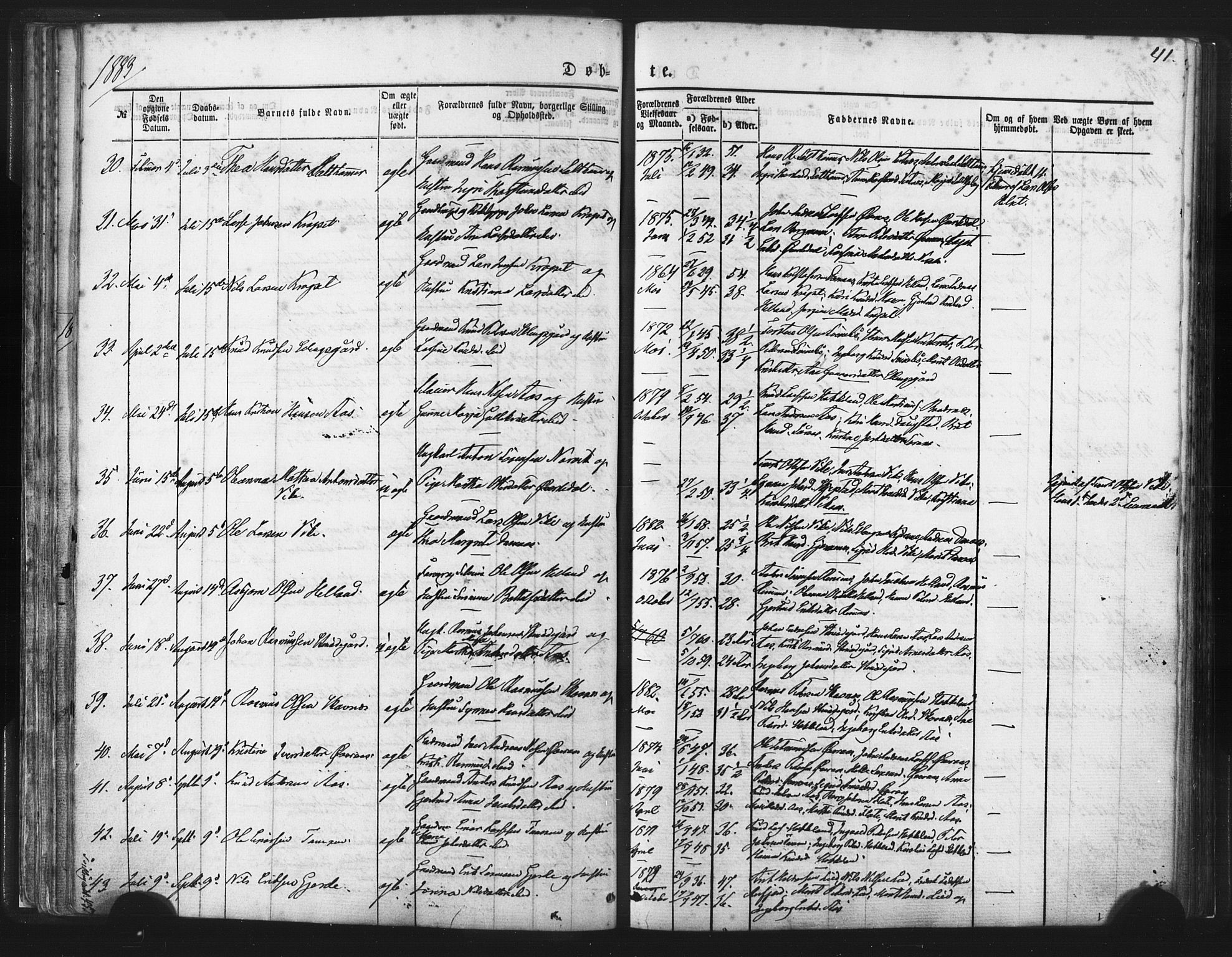 Ministerialprotokoller, klokkerbøker og fødselsregistre - Møre og Romsdal, AV/SAT-A-1454/539/L0530: Ministerialbok nr. 539A03, 1872-1886, s. 41