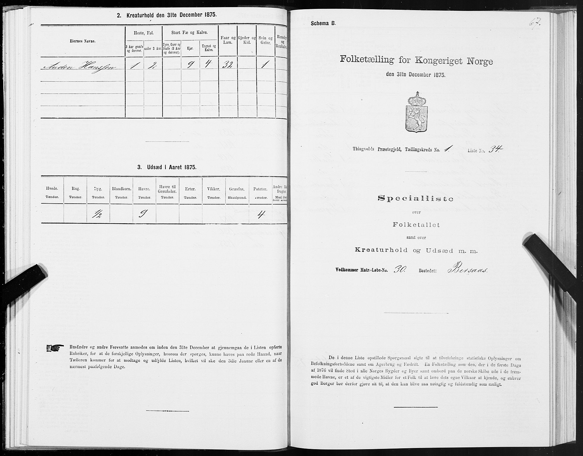 SAT, Folketelling 1875 for 1560P Tingvoll prestegjeld, 1875, s. 1067